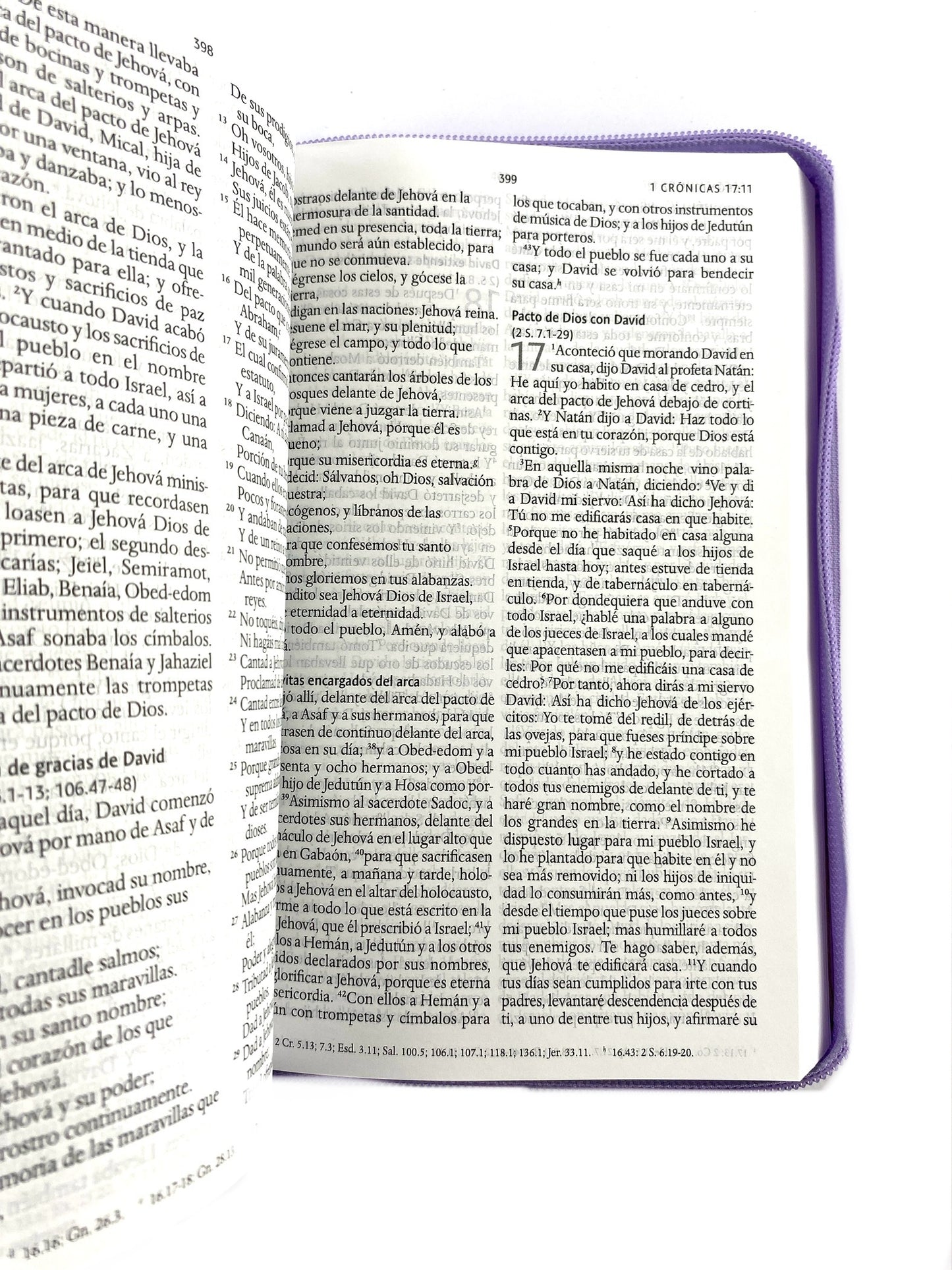 Biblia rvr 1960 letra grande estuche lila - flores azul esquina