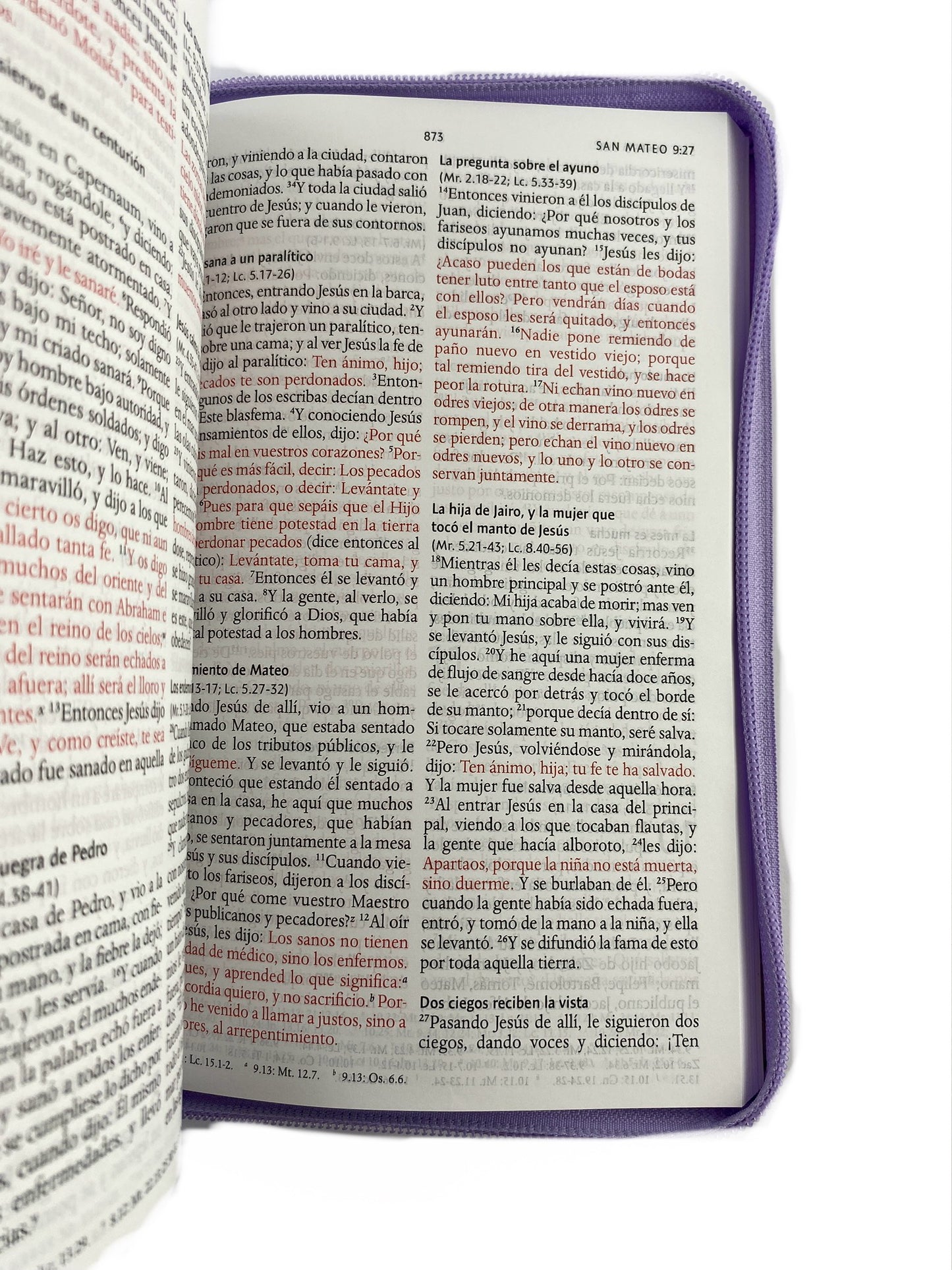 Biblia rvr 1960 letra grande estuche lila - flores azul esquina
