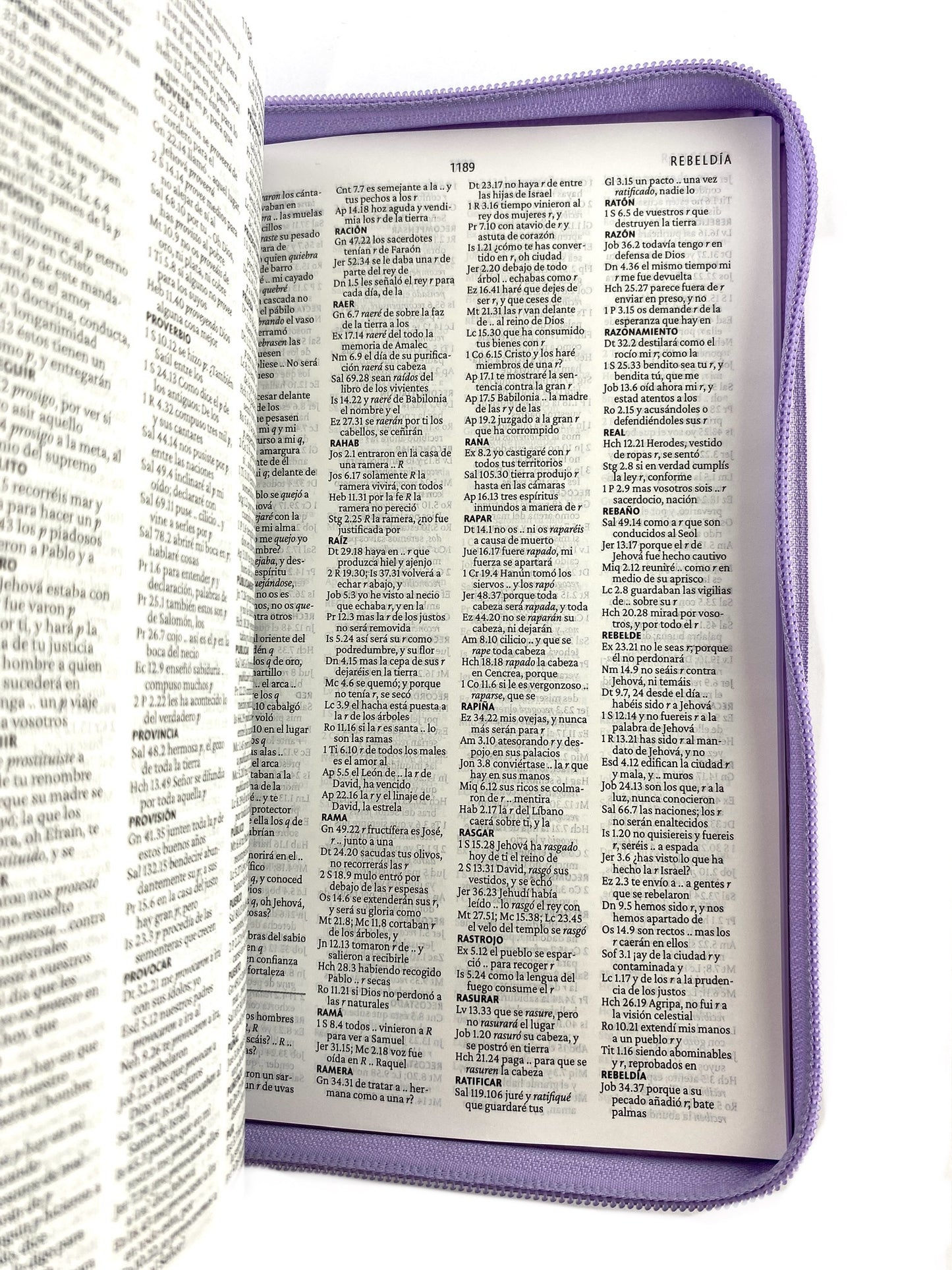 Biblia rvr 1960 letra grande estuche lila - flores azul esquina
