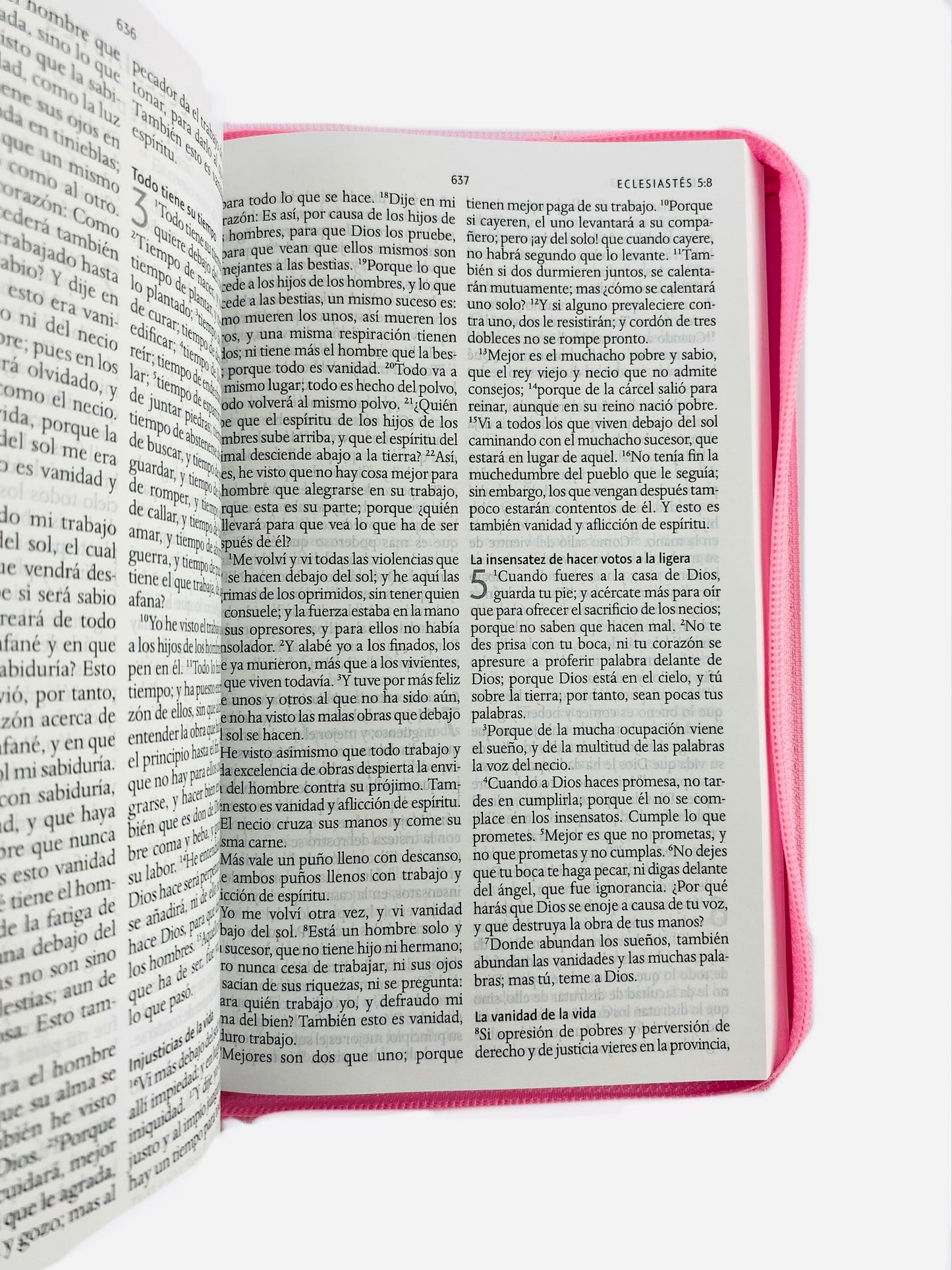 Biblia rvr 1960 letra grande estuche rosa-flores roja esquina
