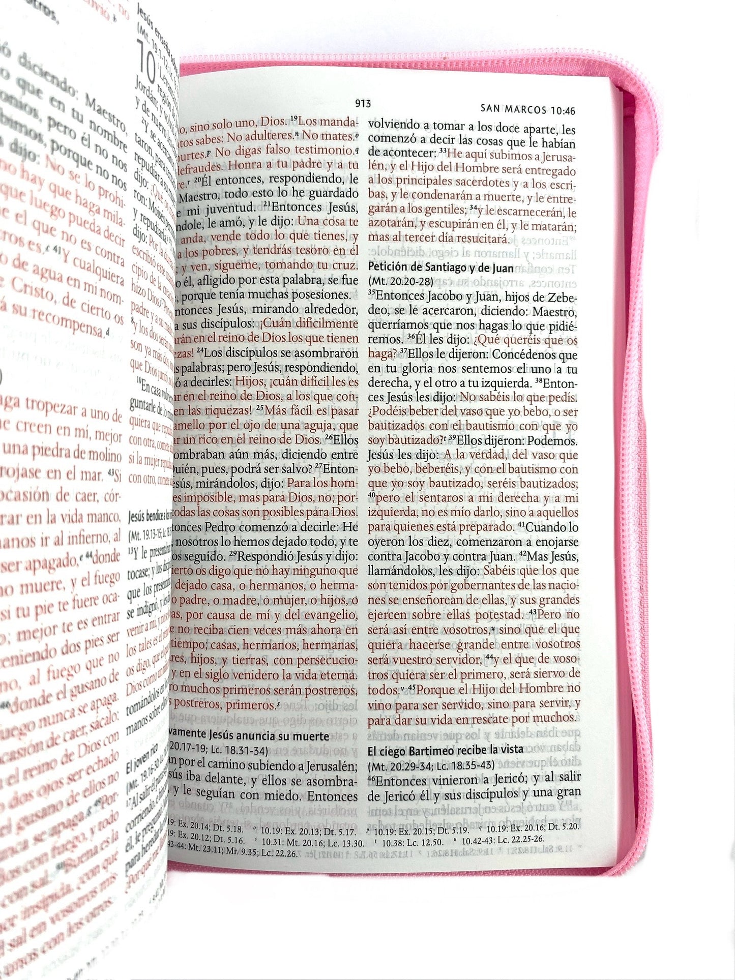 Biblia rvr 1960 letra grande estuche rosa-flores roja esquina