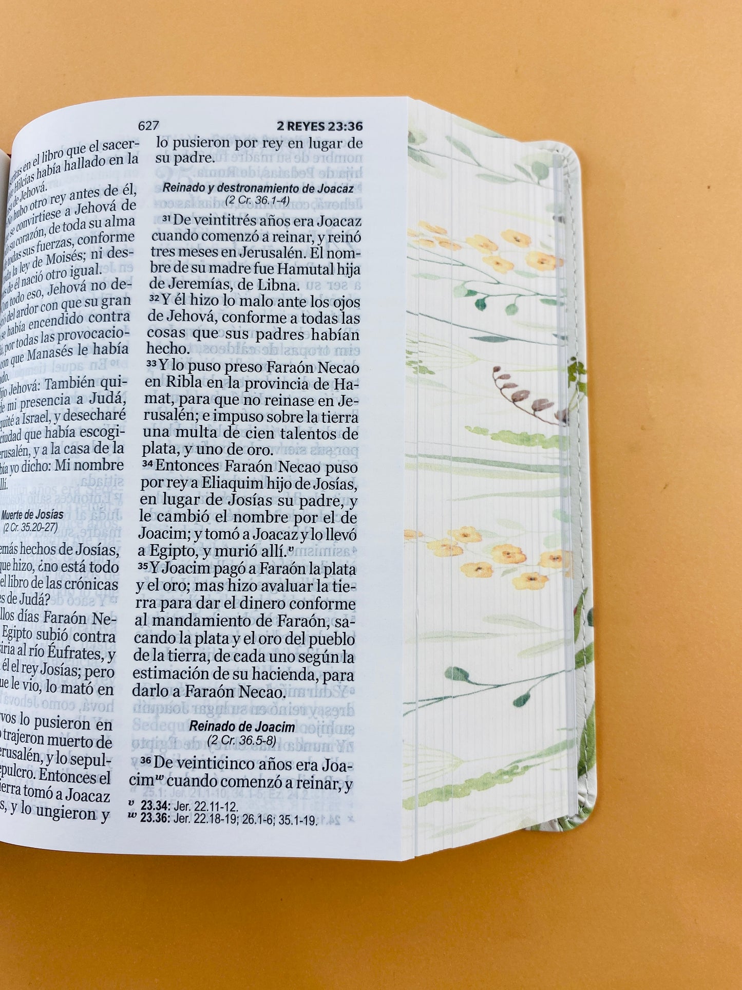 Biblia rvr 1960 colección primaveral letra grande marrón sin cierre
