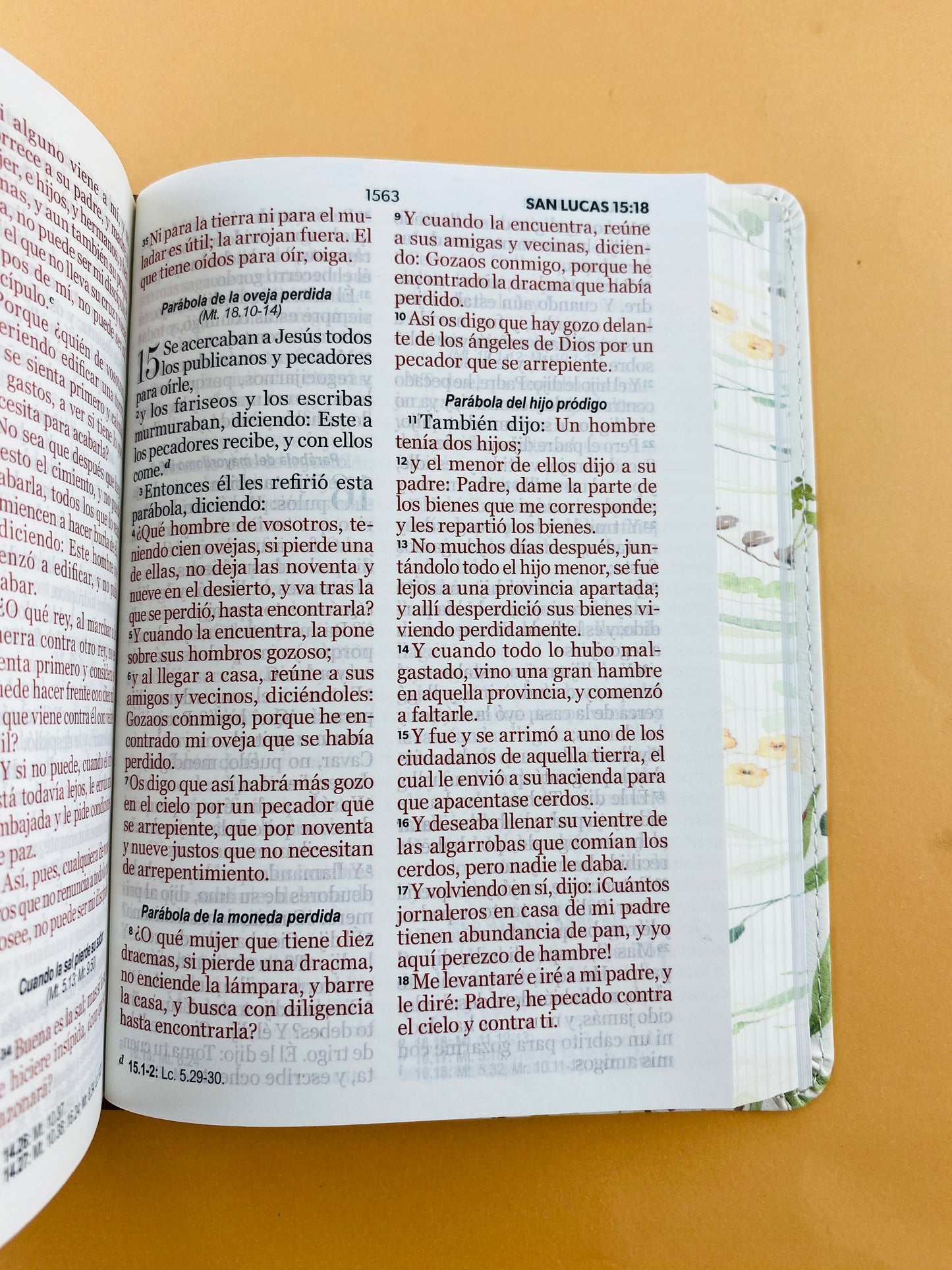 Biblia rvr 1960 colección primaveral letra grande marrón sin cierre
