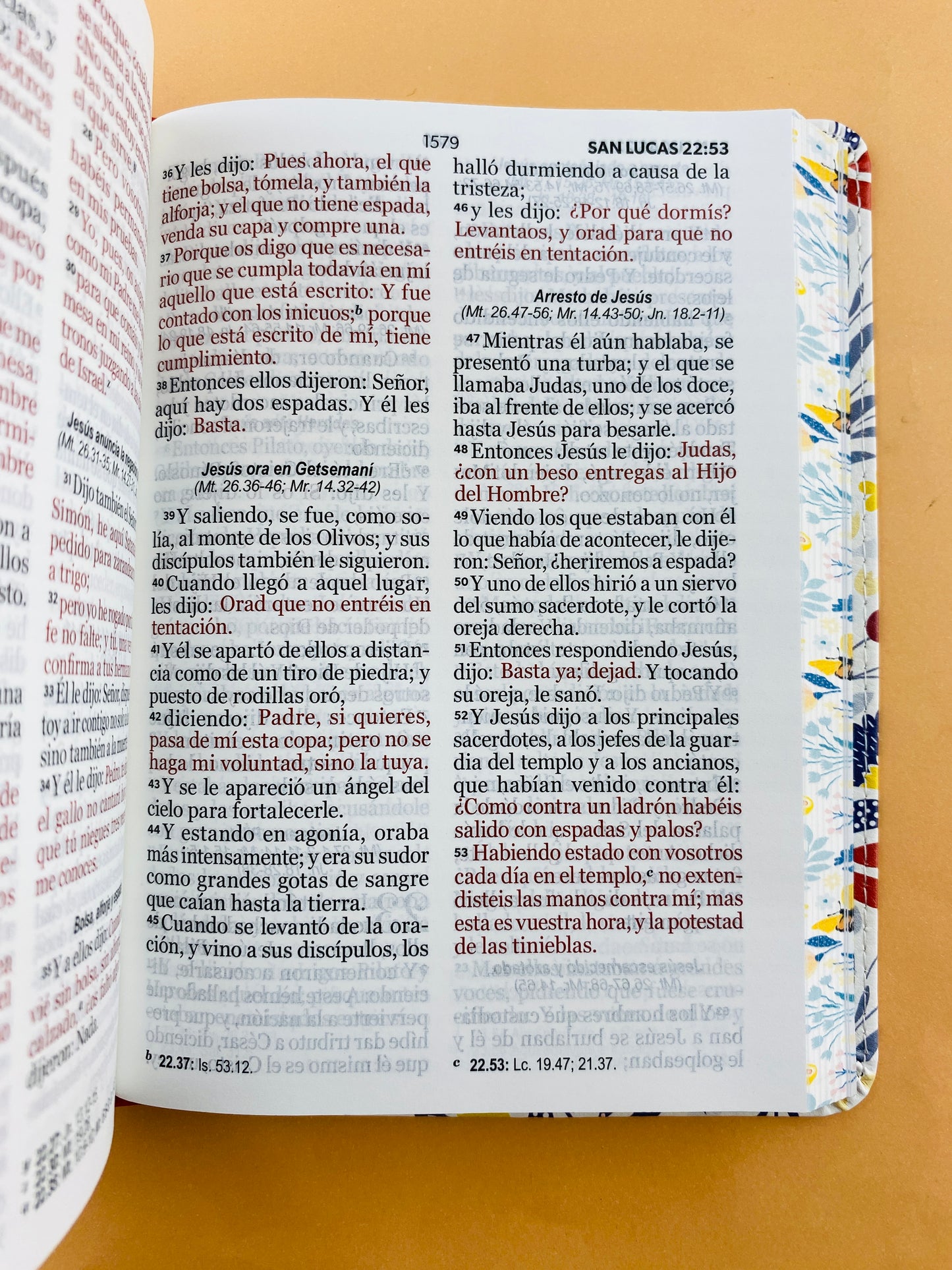 Biblia rvr 1960 colección primaveral letra grande naranja sin cierre