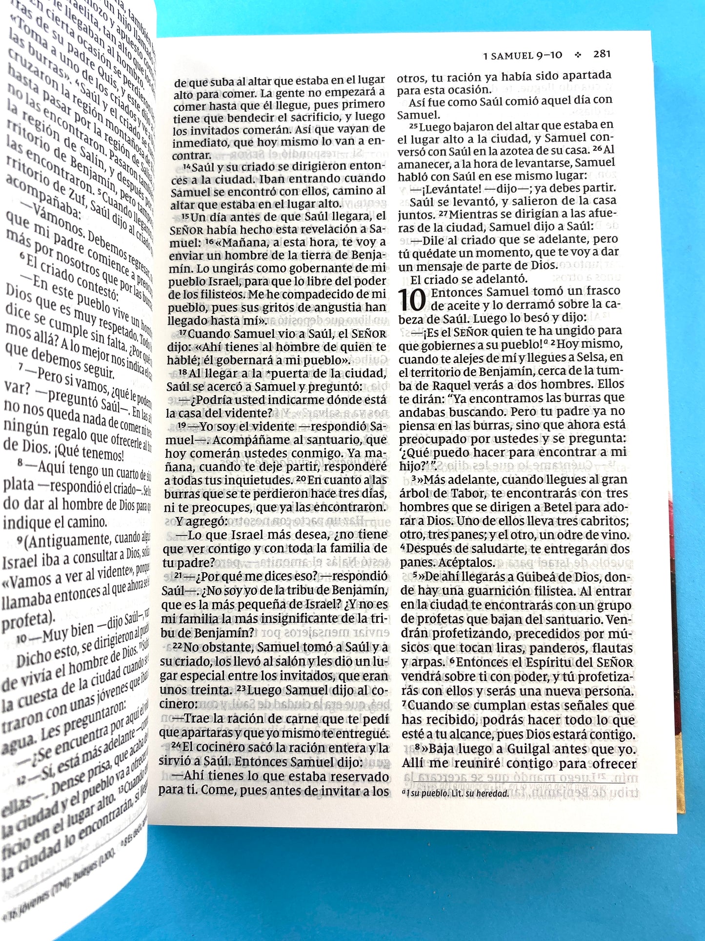 Biblia NVI 2022 ultrafina letra gigante Tela estampado rojo - rosa