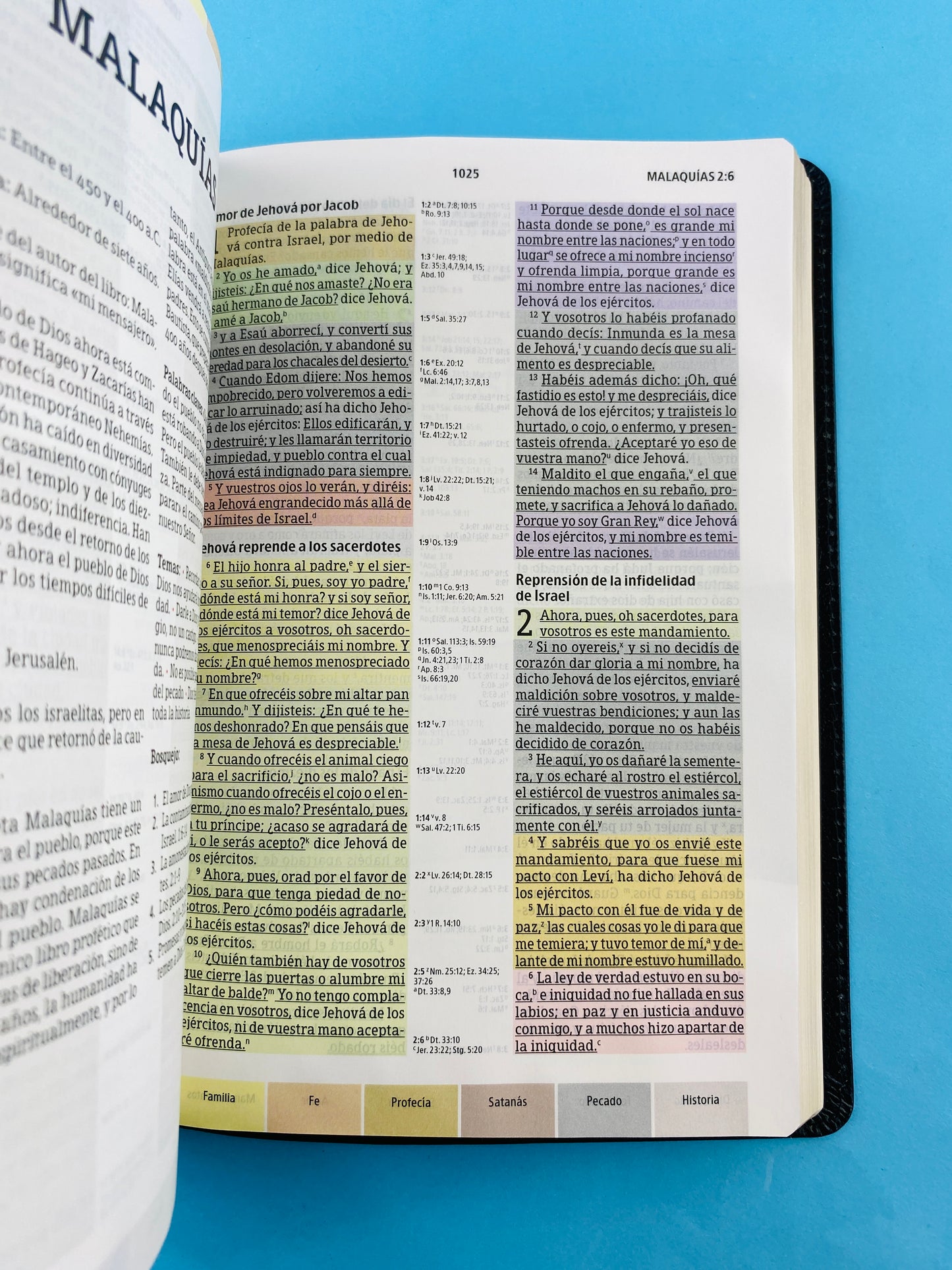Biblia arco iris piel negro borde dorado