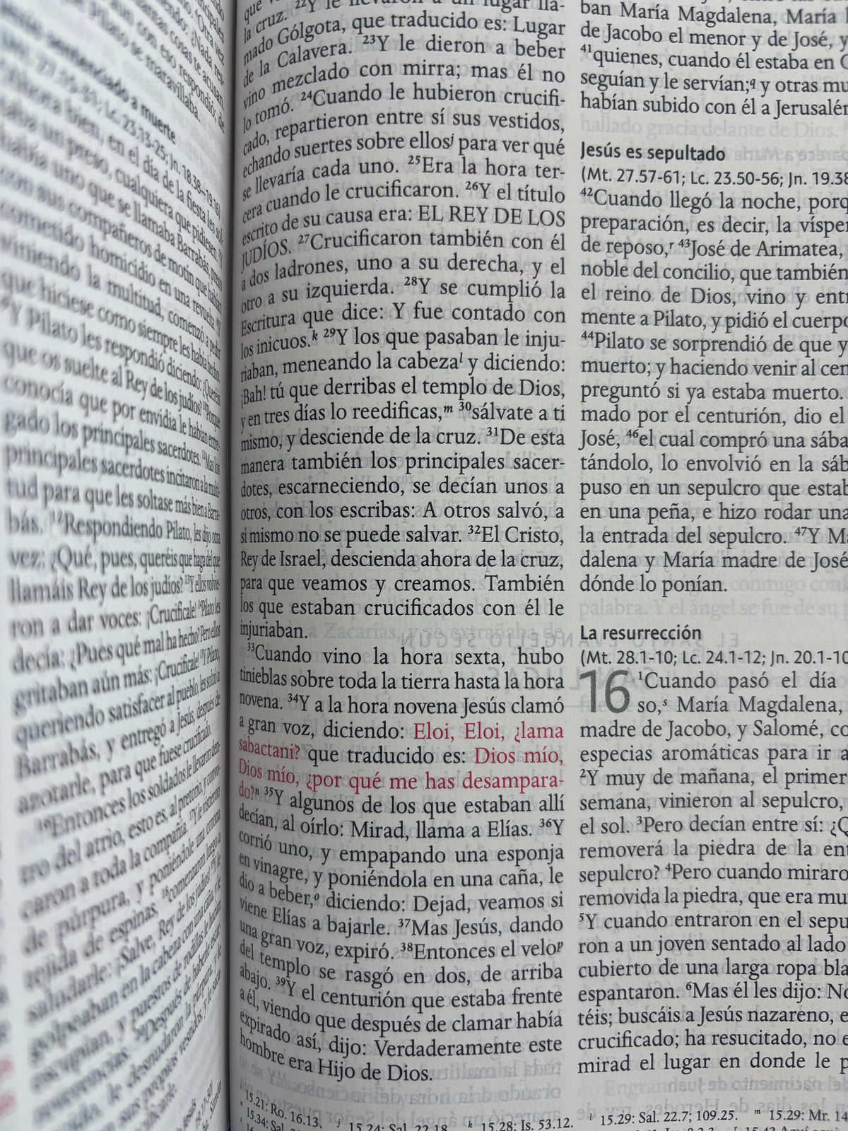 Biblia RVR 1960 letra grande tamaño manual by reina valera 1960