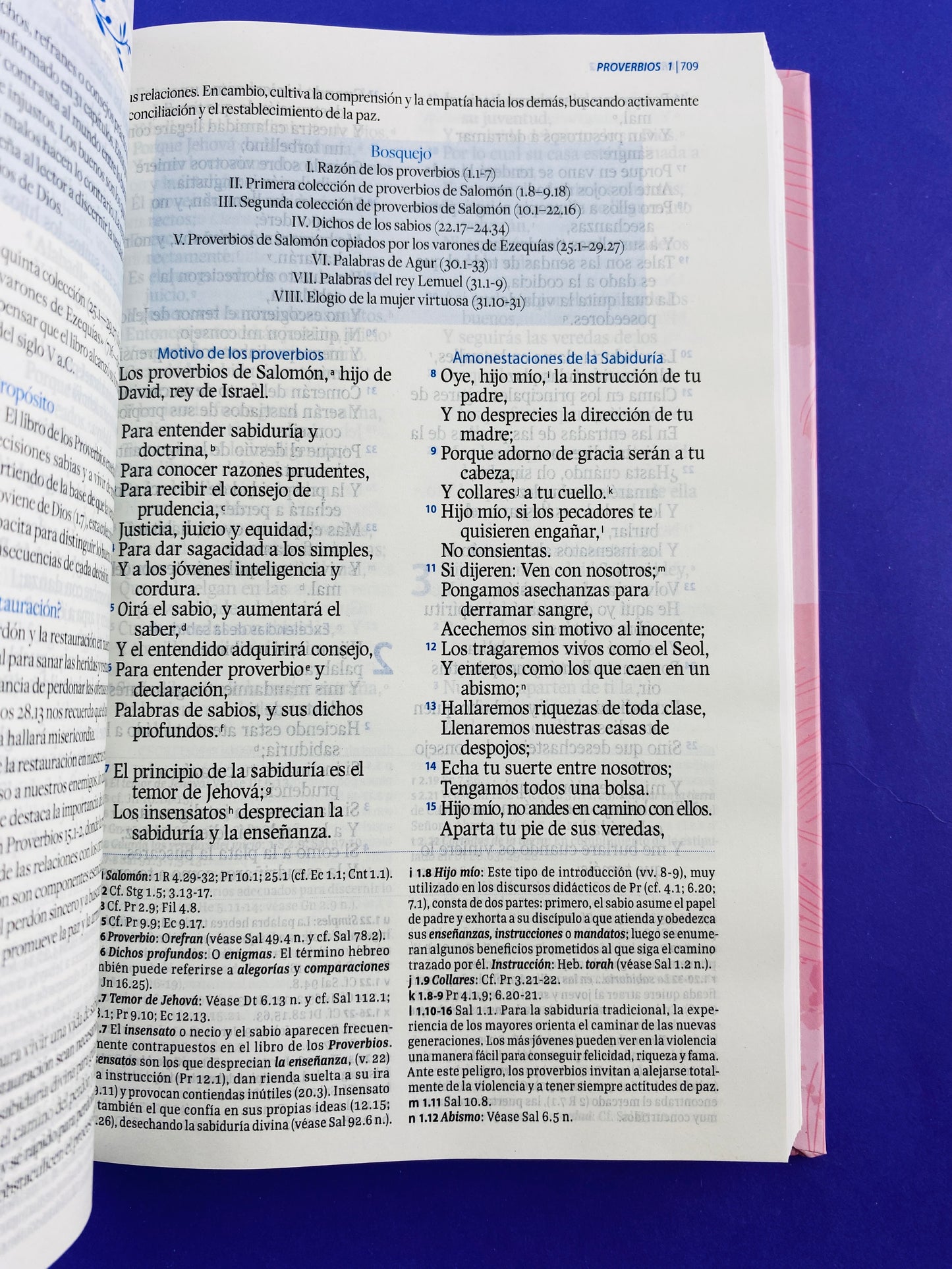 Biblia de estudio perdón y restauración rosada rvr 1960