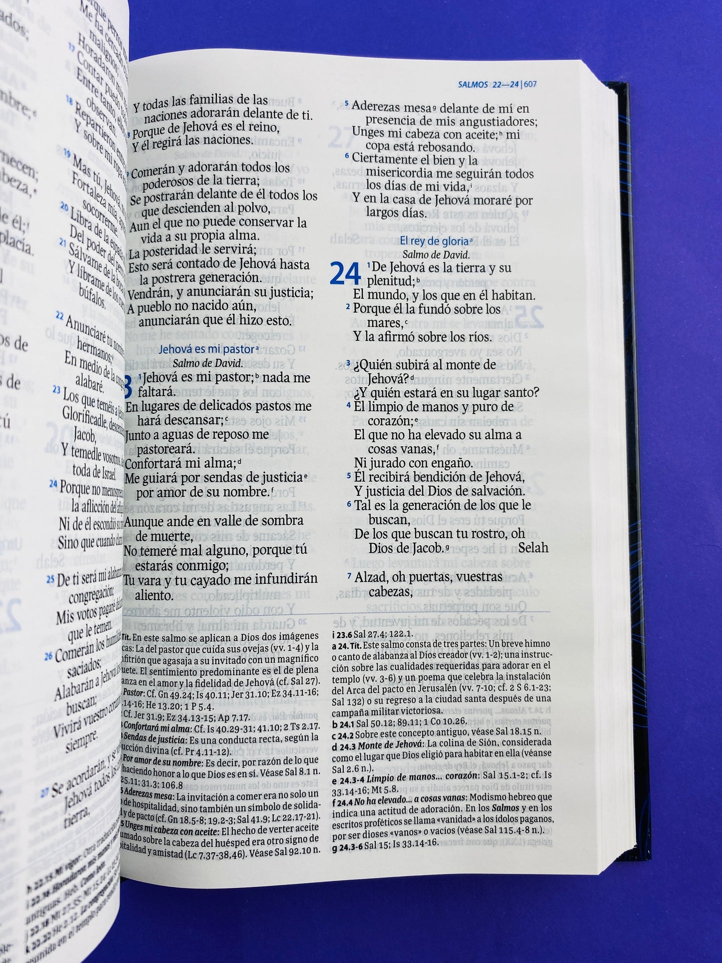Biblia de estudio perdón y restauración azul rvr 1960
