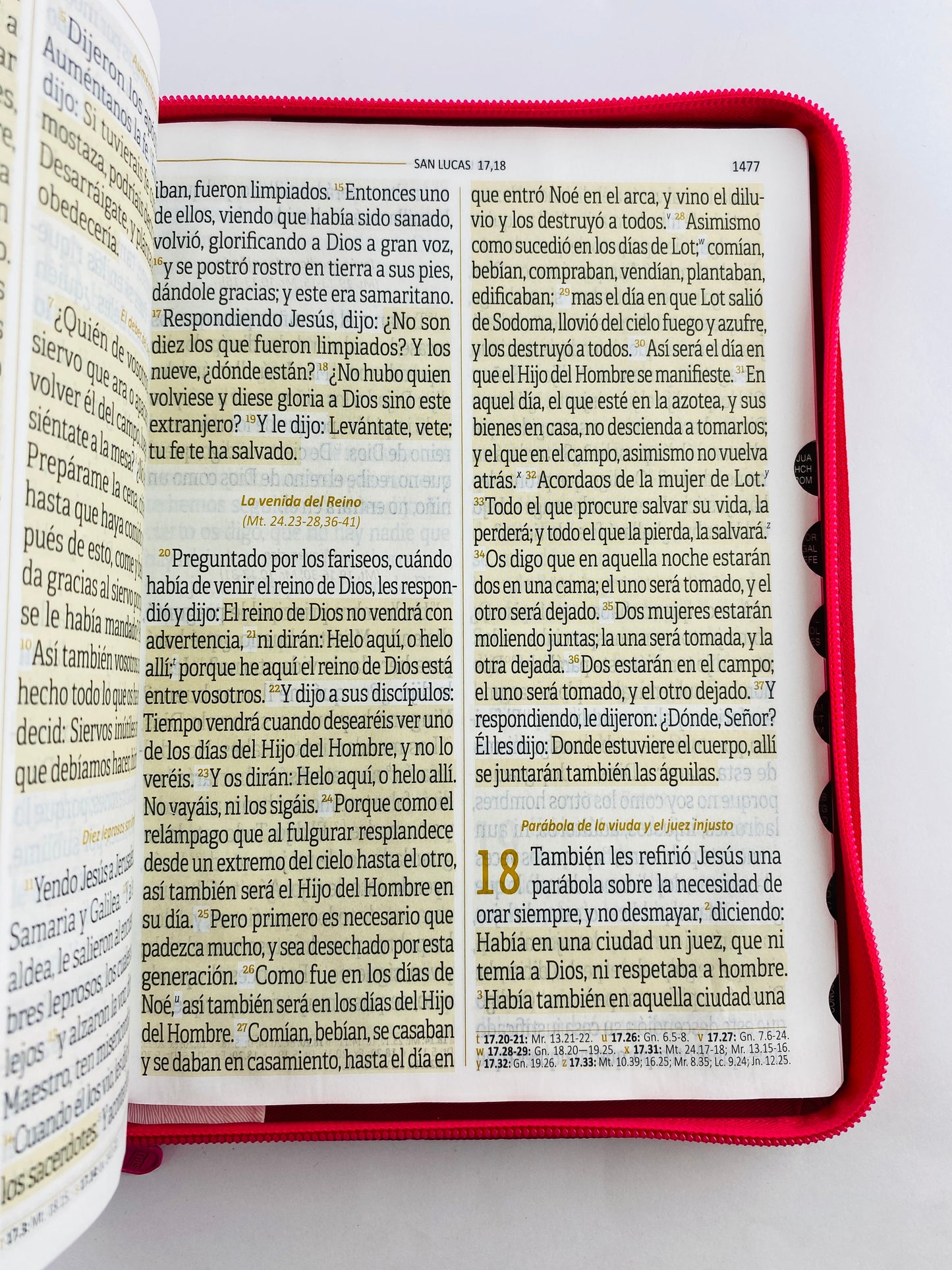 Biblia reina valera 1960 letra súper gigante fucsia - blanco con índice