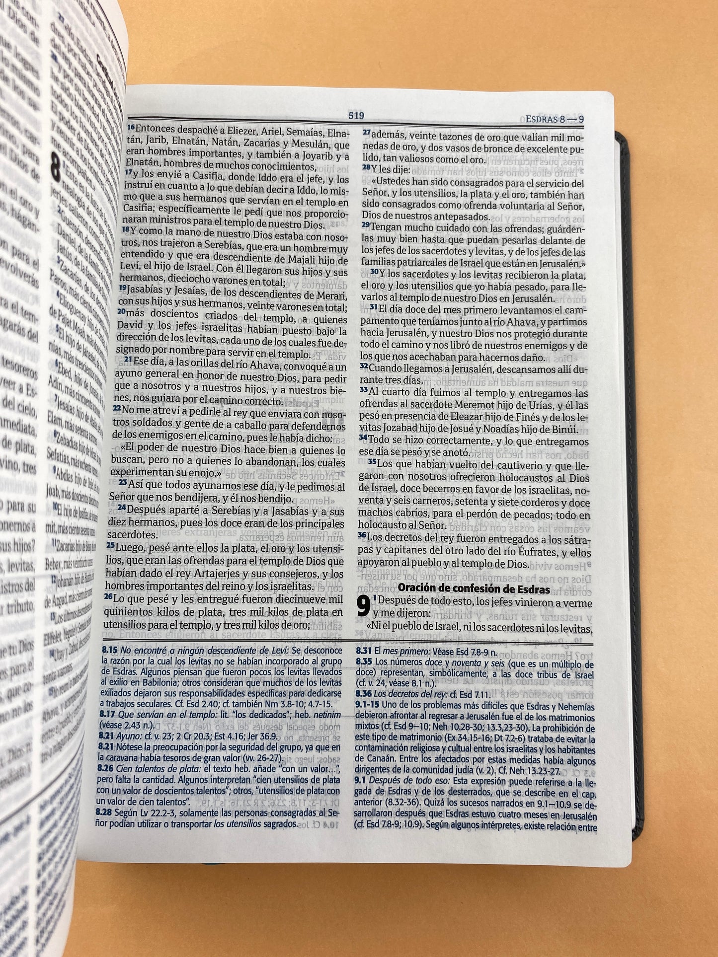 Biblia RVC gris - beige edición de estudio letra grande