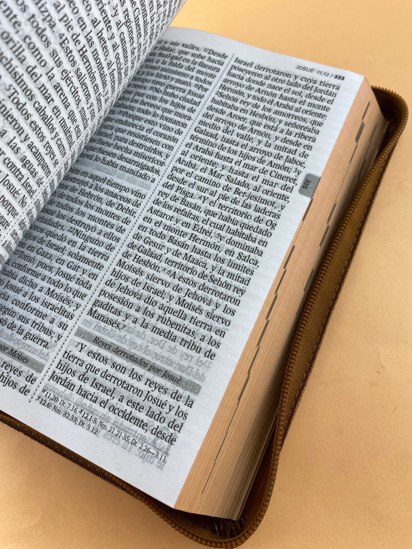 Biblia rvr 1960 letra gigante con forro café by Reina Valera 1960