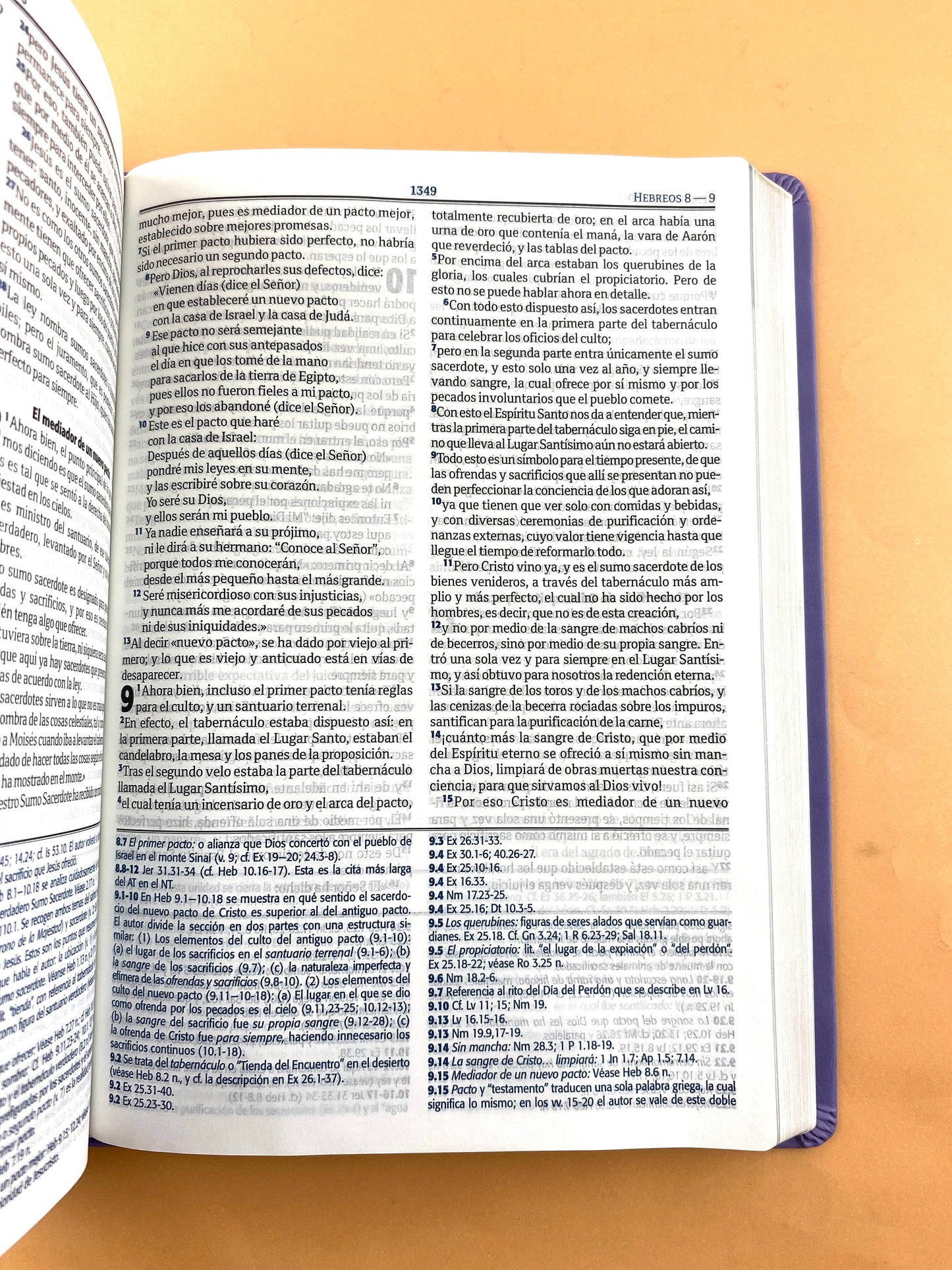 Biblia RVC lila edición de estudio letra grande