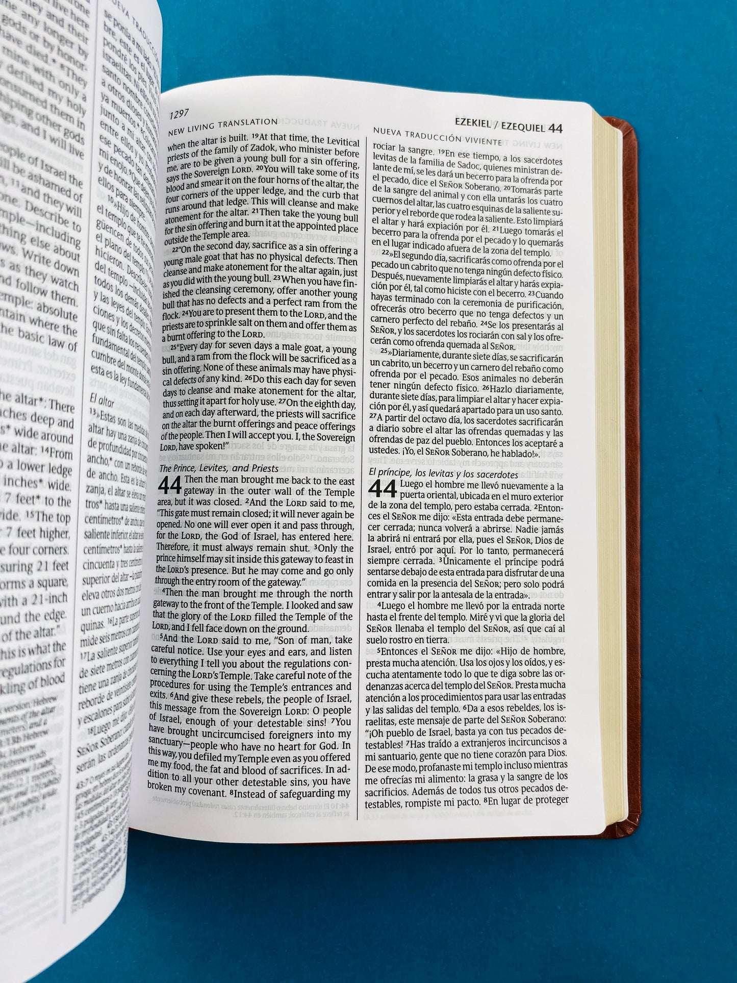 Biblia bilingüe NLT-NTV café borde dorado