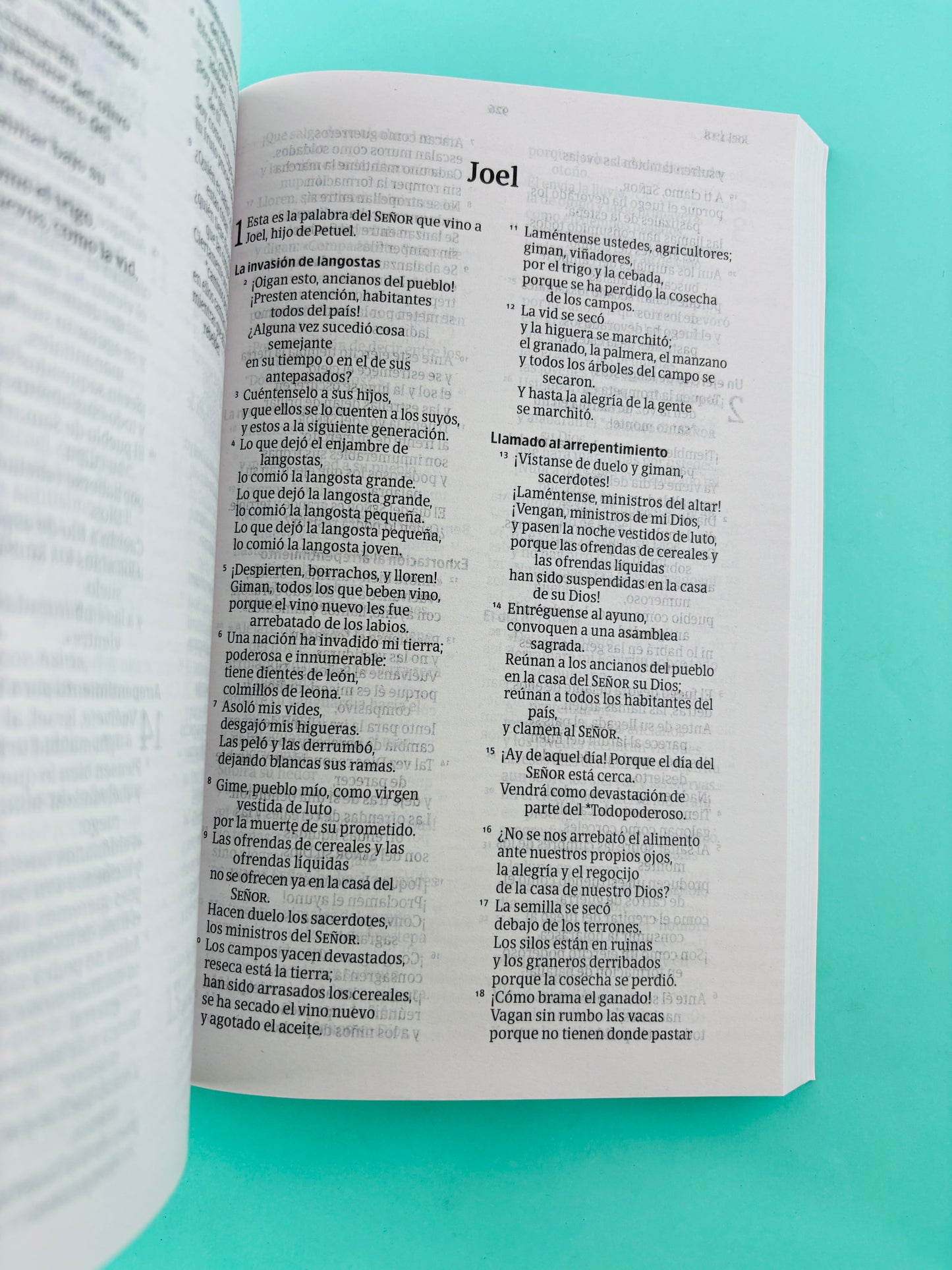 Biblia NVI letra grande rustica amarillo