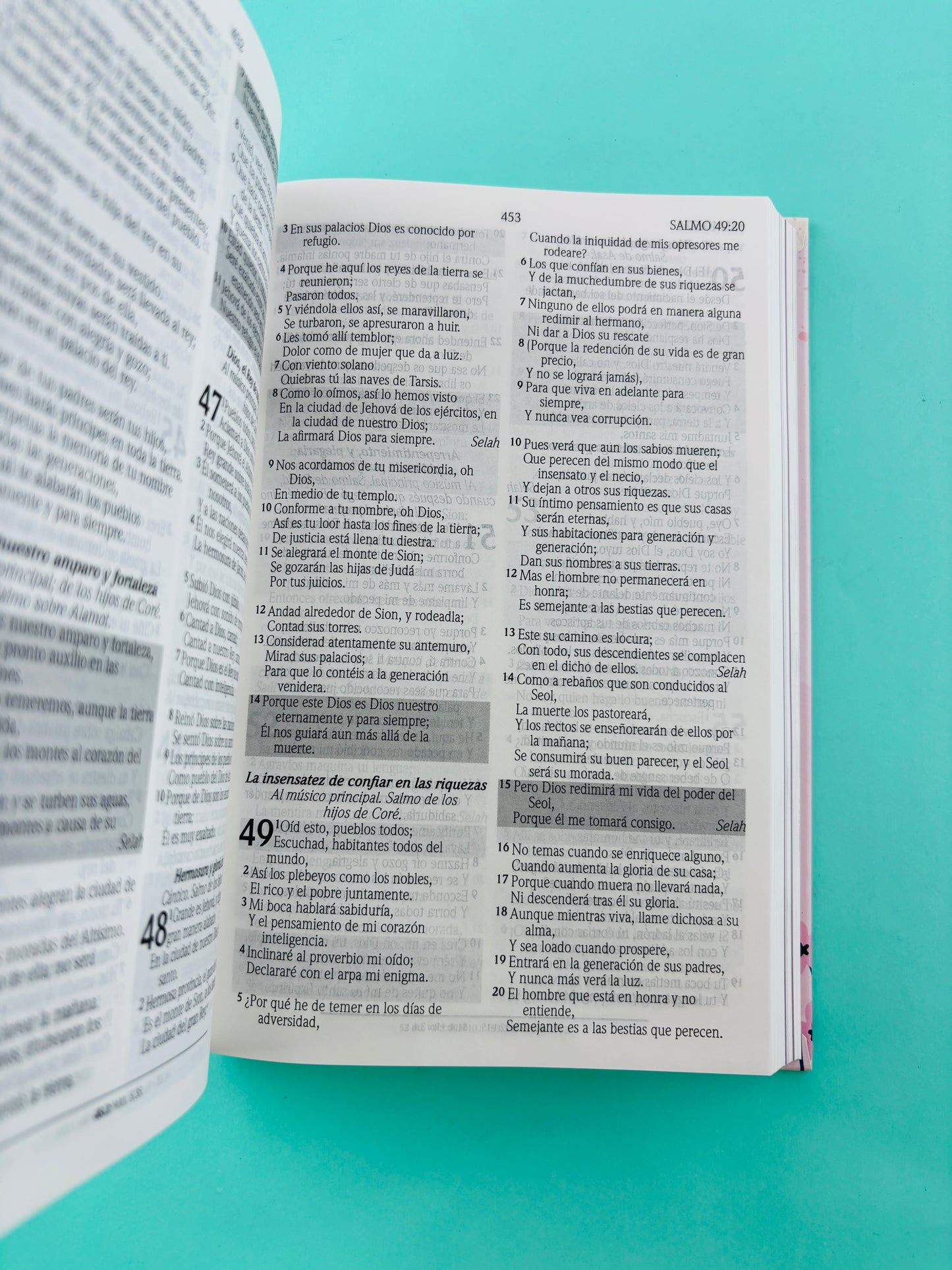 Biblia de promesas para niñas rvr 1960