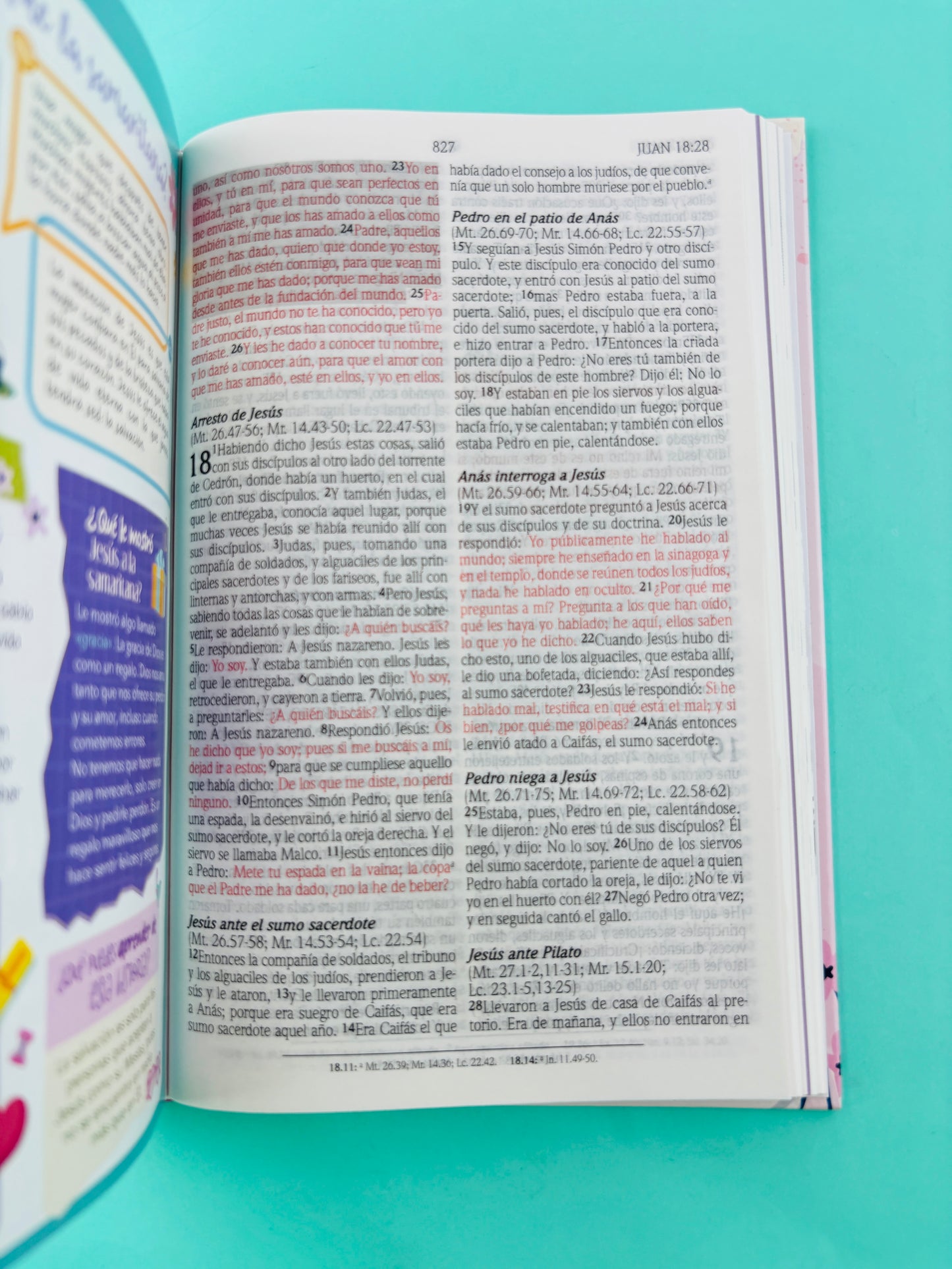 Biblia de promesas para niñas rvr 1960