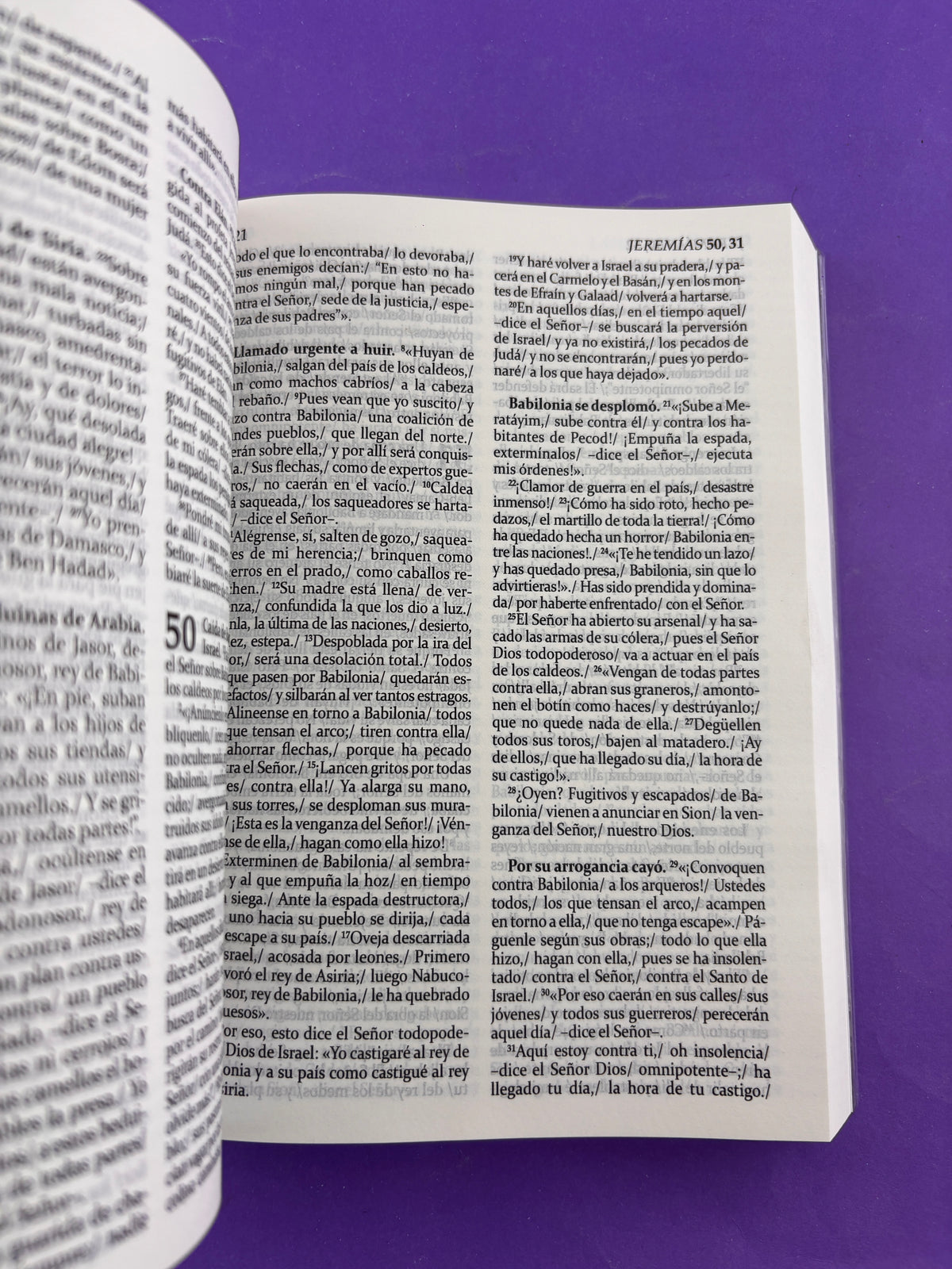 La sagrada biblia de américa azul by Biblia de América