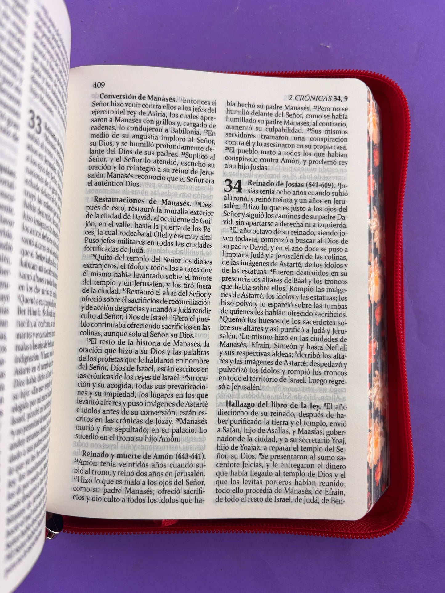 Sagrada biblia de américa colección estuche roja/flores by Biblia de América