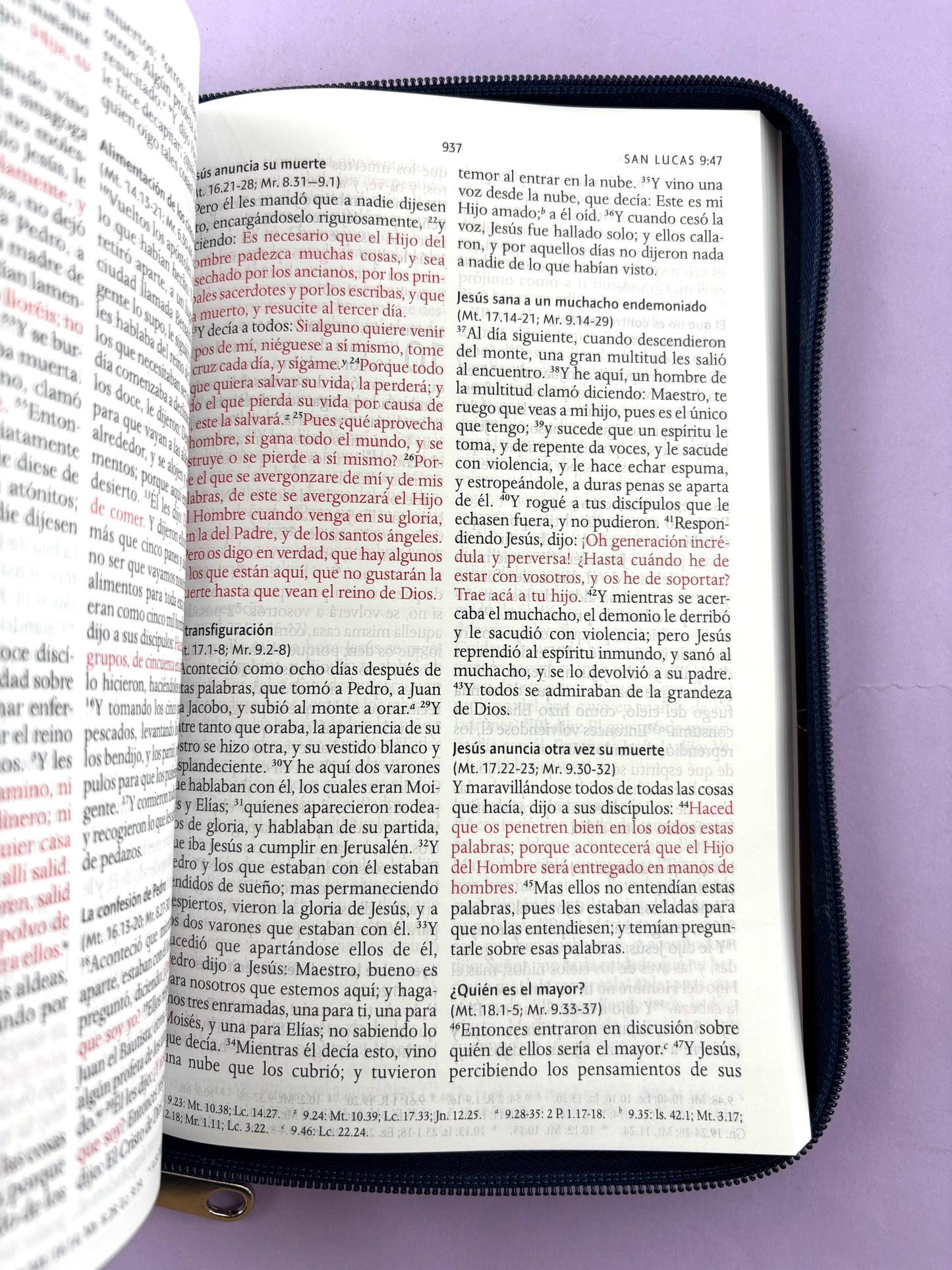 Biblia rvr 1960 letra grande estuche azul-vinotinto by Reina Valera 1960