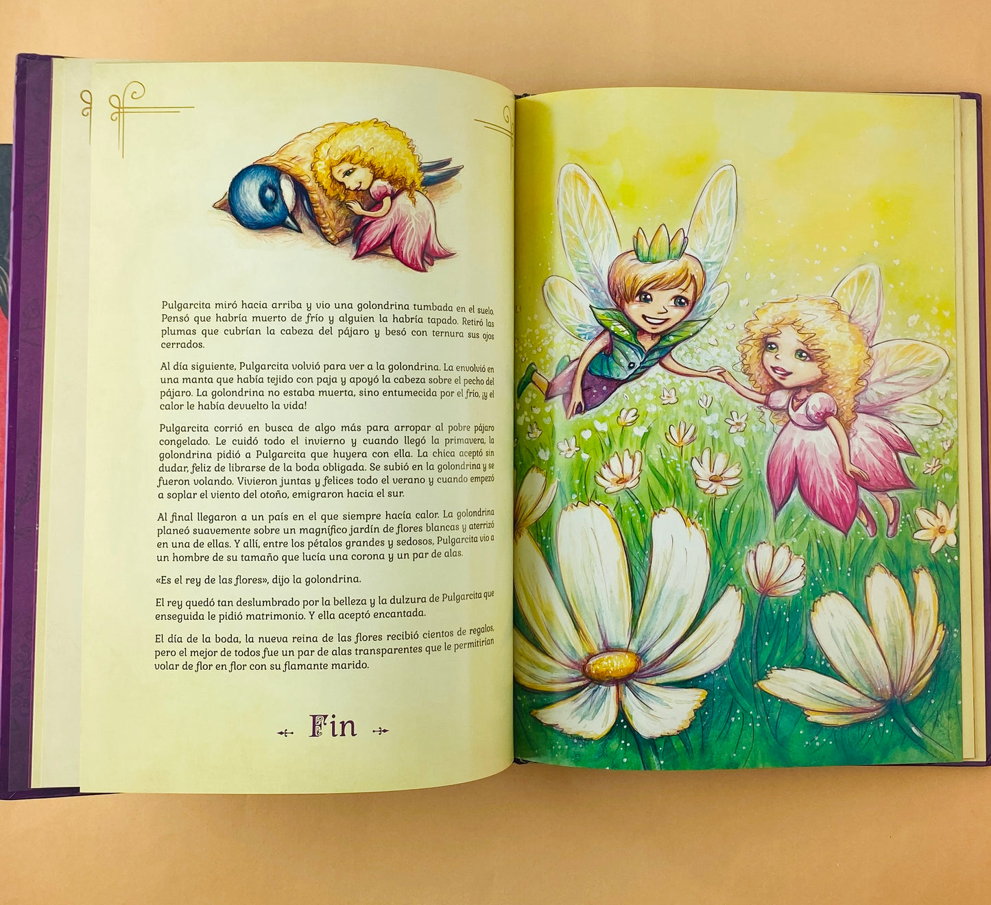 Érase una vez cuentos de hans christian andersen