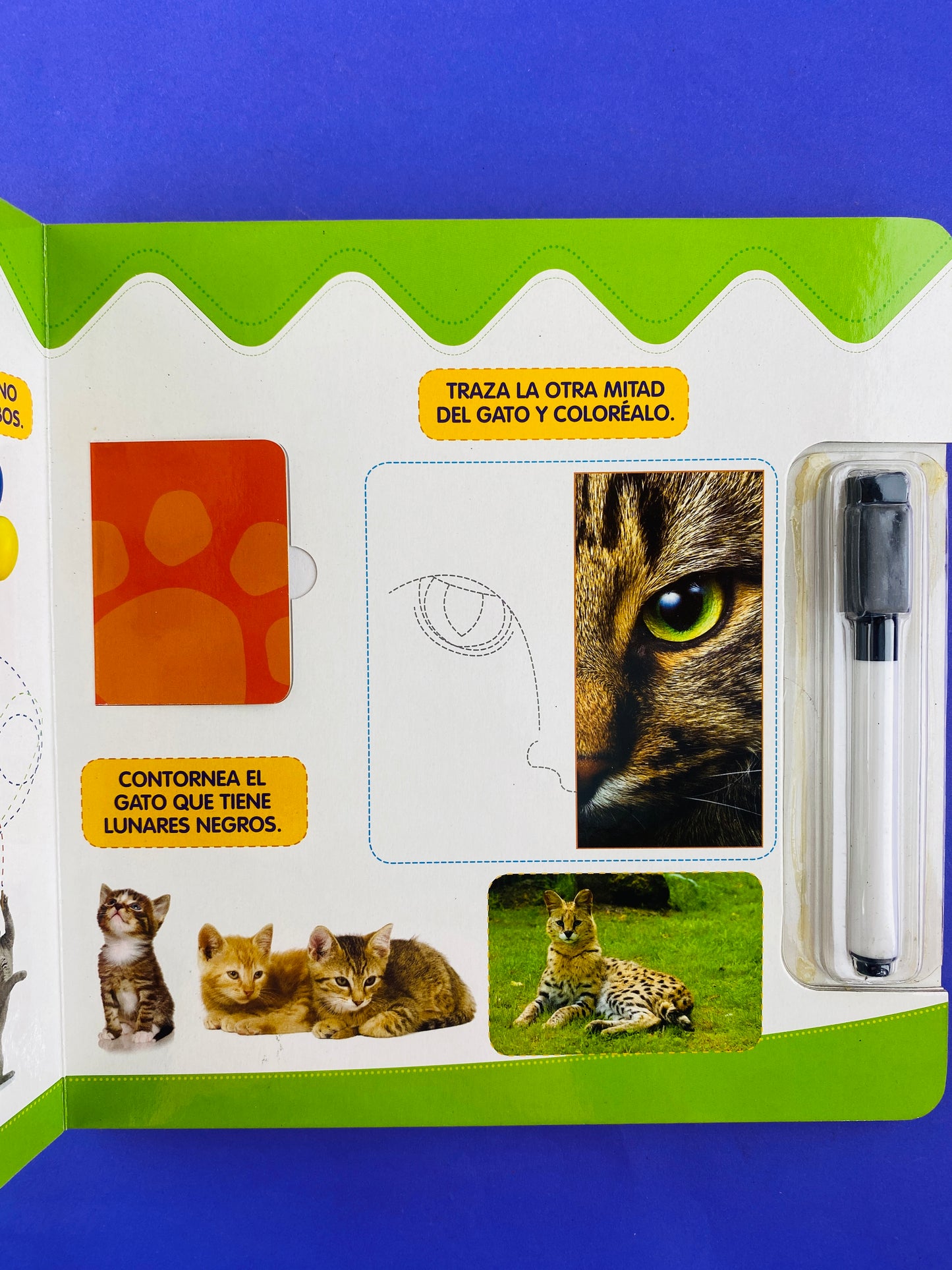 Dibujo y descubro animales by sin autor