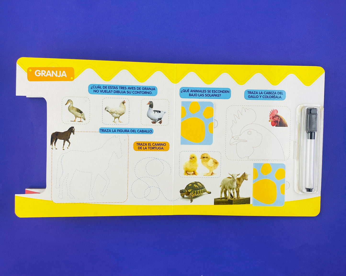 Dibujo y descubro animales