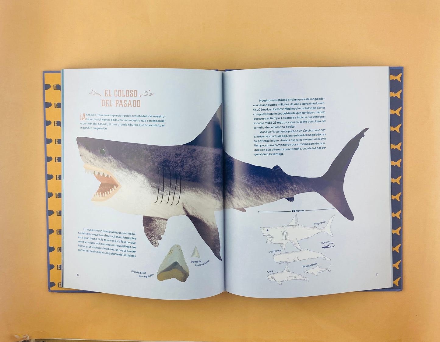 Tiburones un travesía submarina