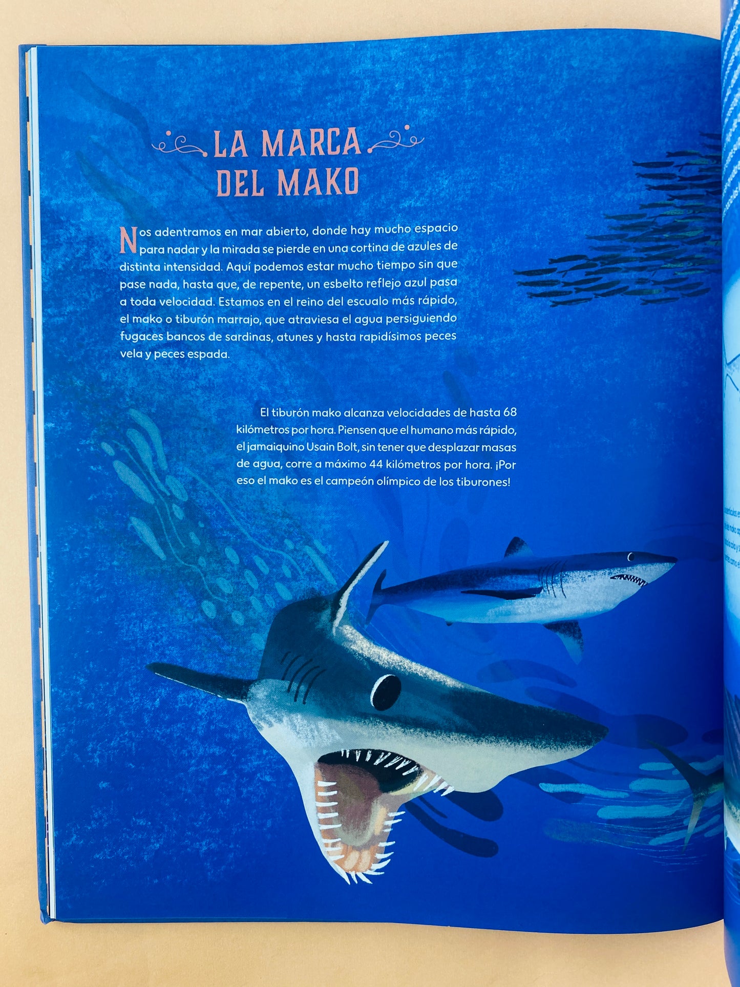 Tiburones un travesía submarina