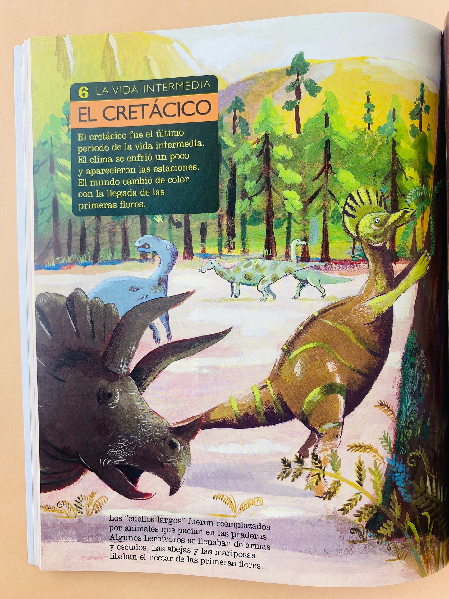 Mi primer larousse de los dinosaurios