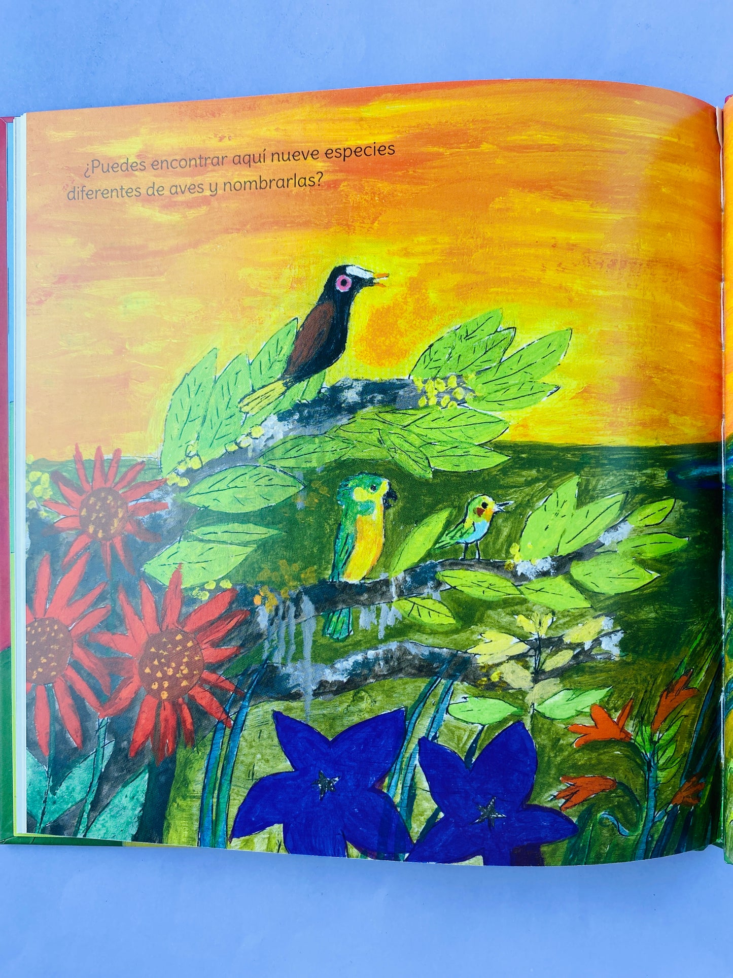 El flamenco calvo y los cazadores de aves