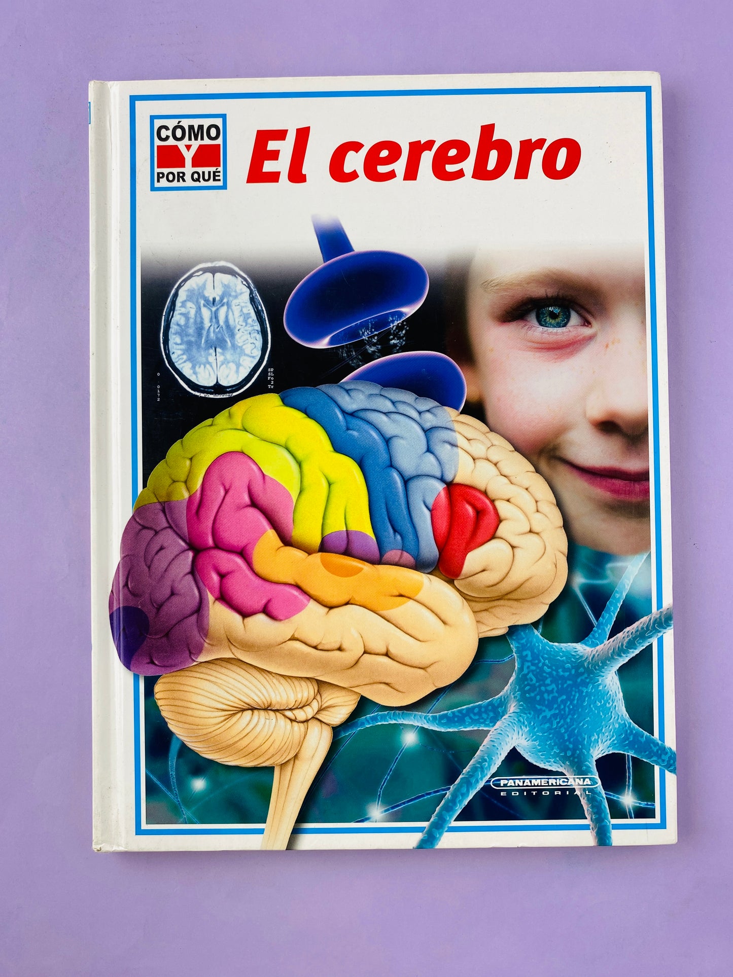 El cerebro