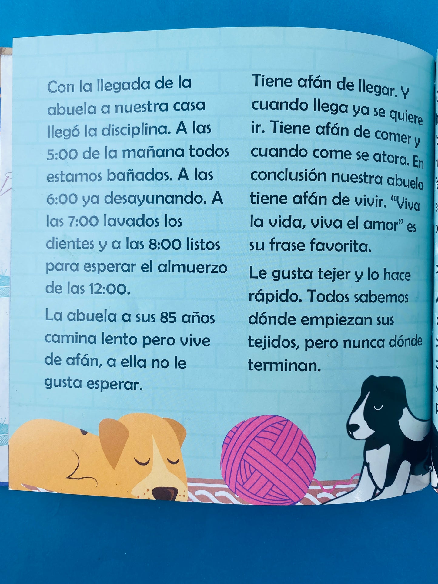 Abuela, ¡bienvenidad a casa!
