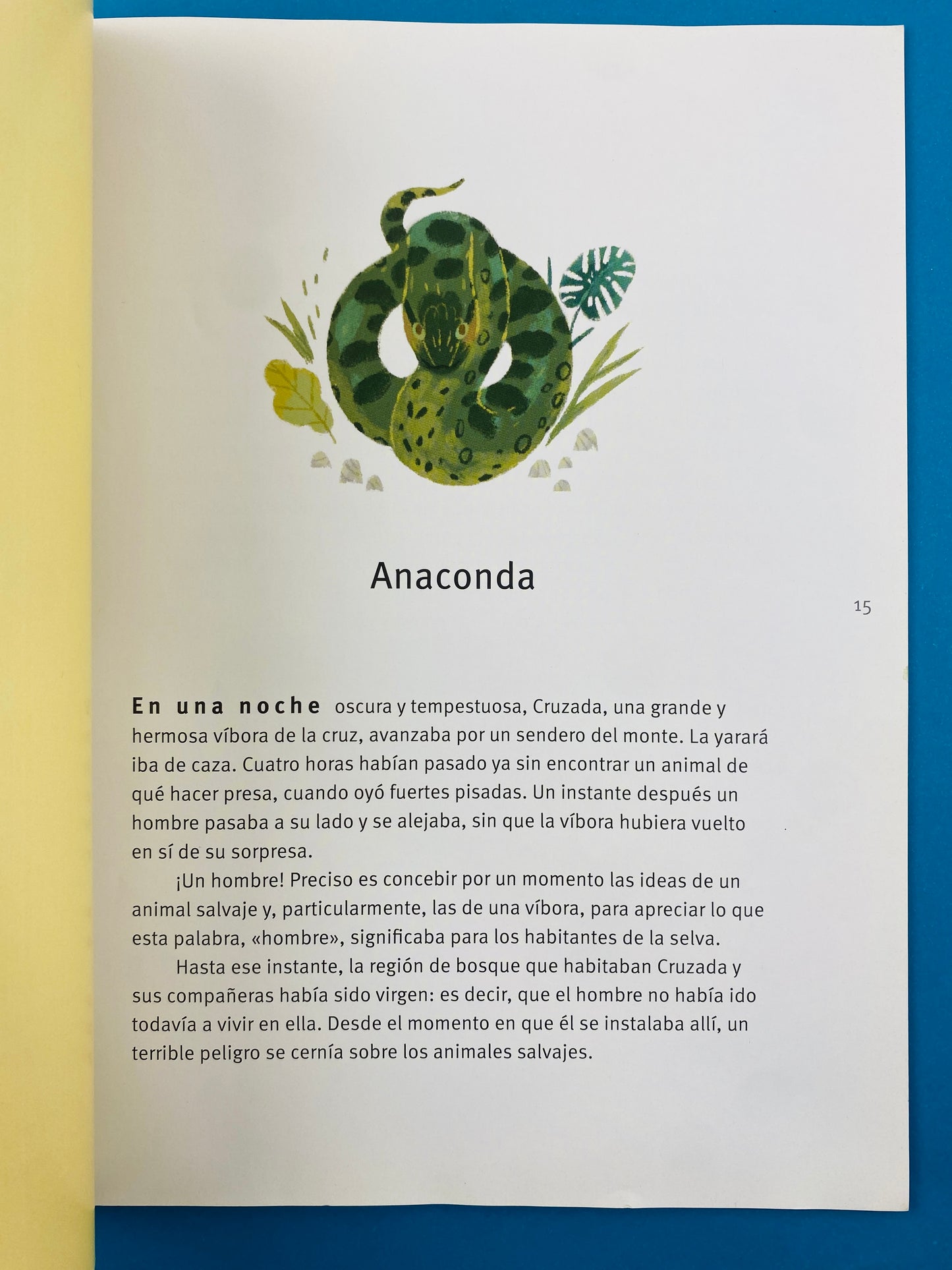 Cuentos de la selva