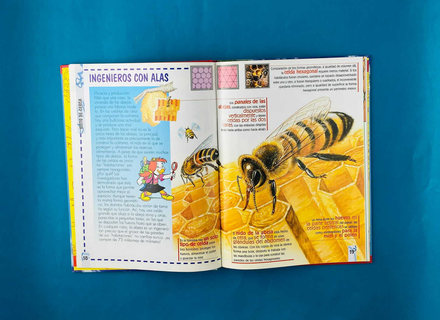 Explora animales arquitectos, los dinosaurios