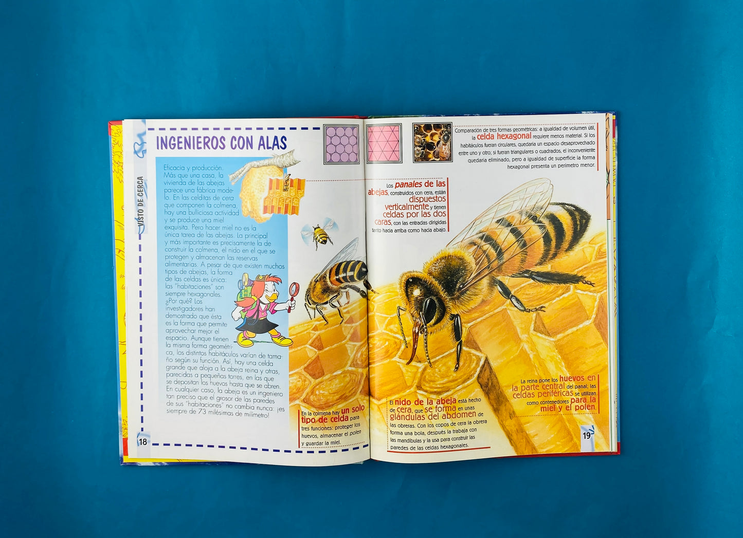 Explora animales arquitectos, los dinosaurios