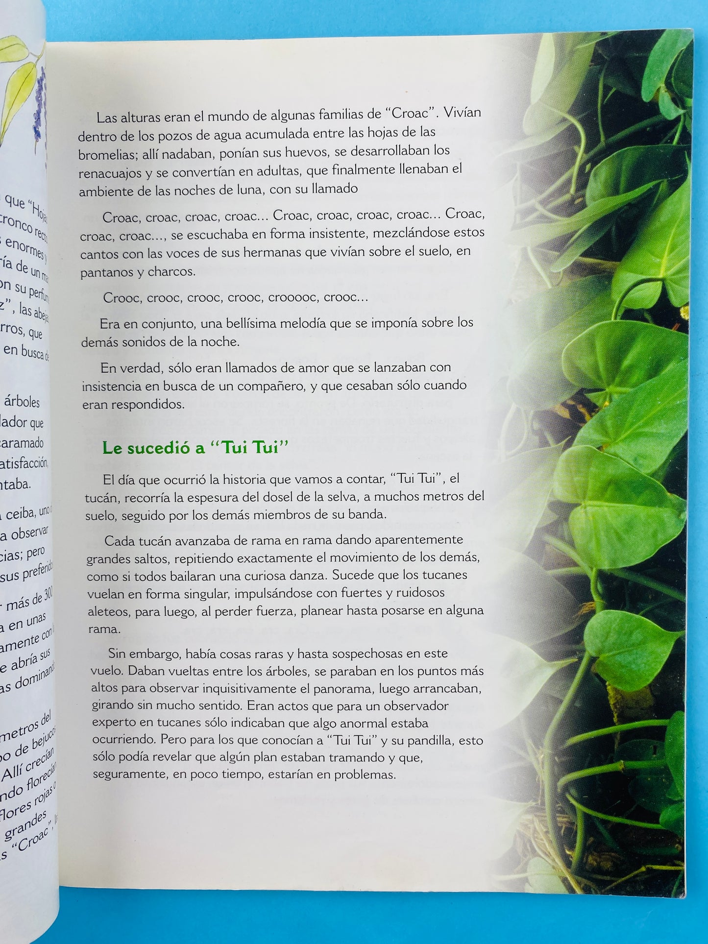 El reino de los tulcanes cuentos de una hermosa y misteriosa selva