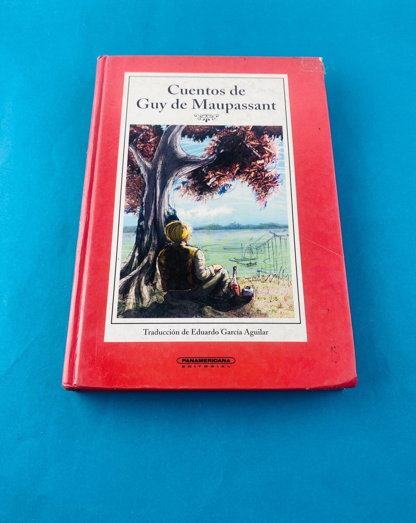 Cuentos de guy de maupassant