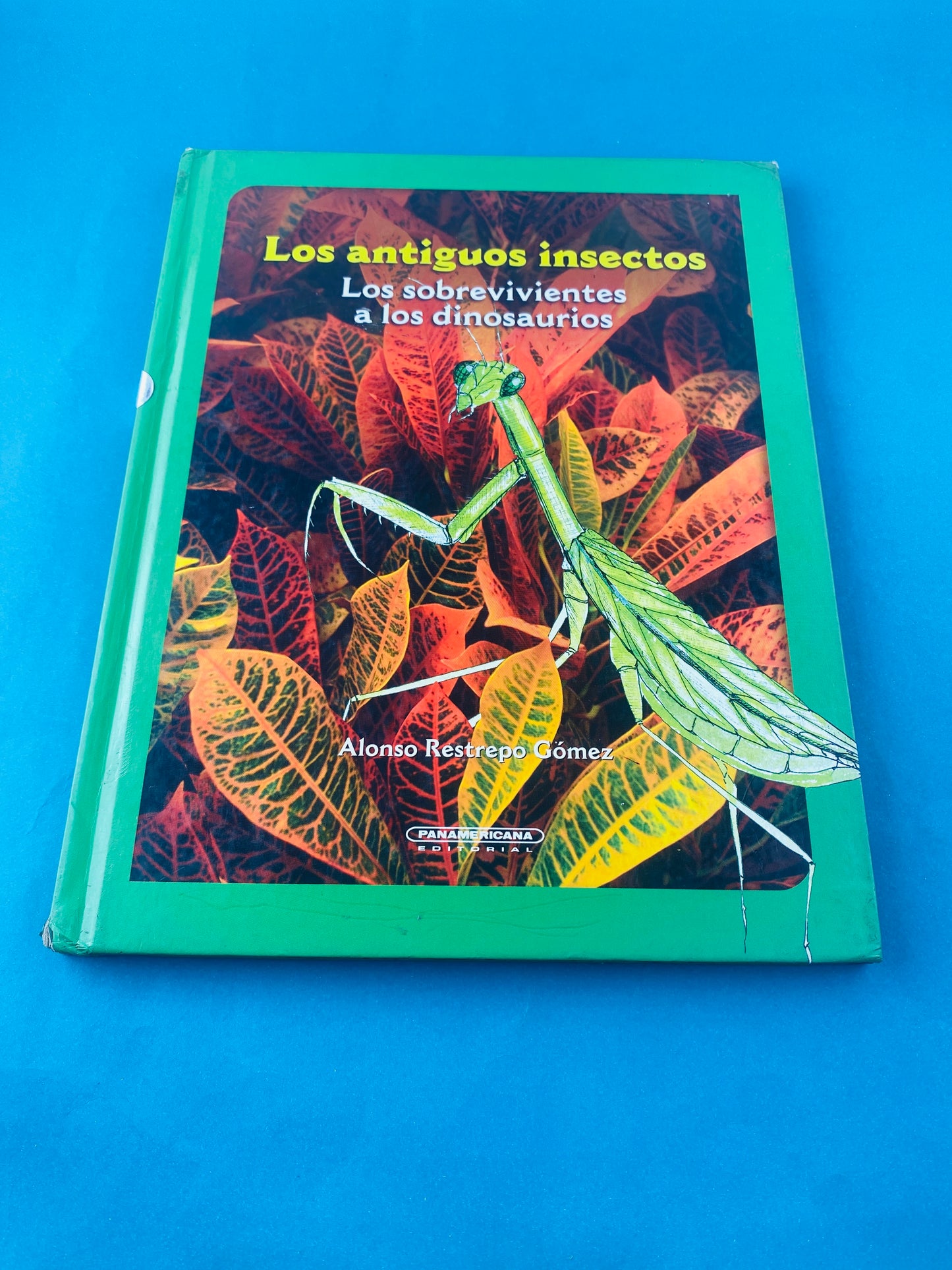 Los antiguos insectos los sobrevivientes a los dinosaurios