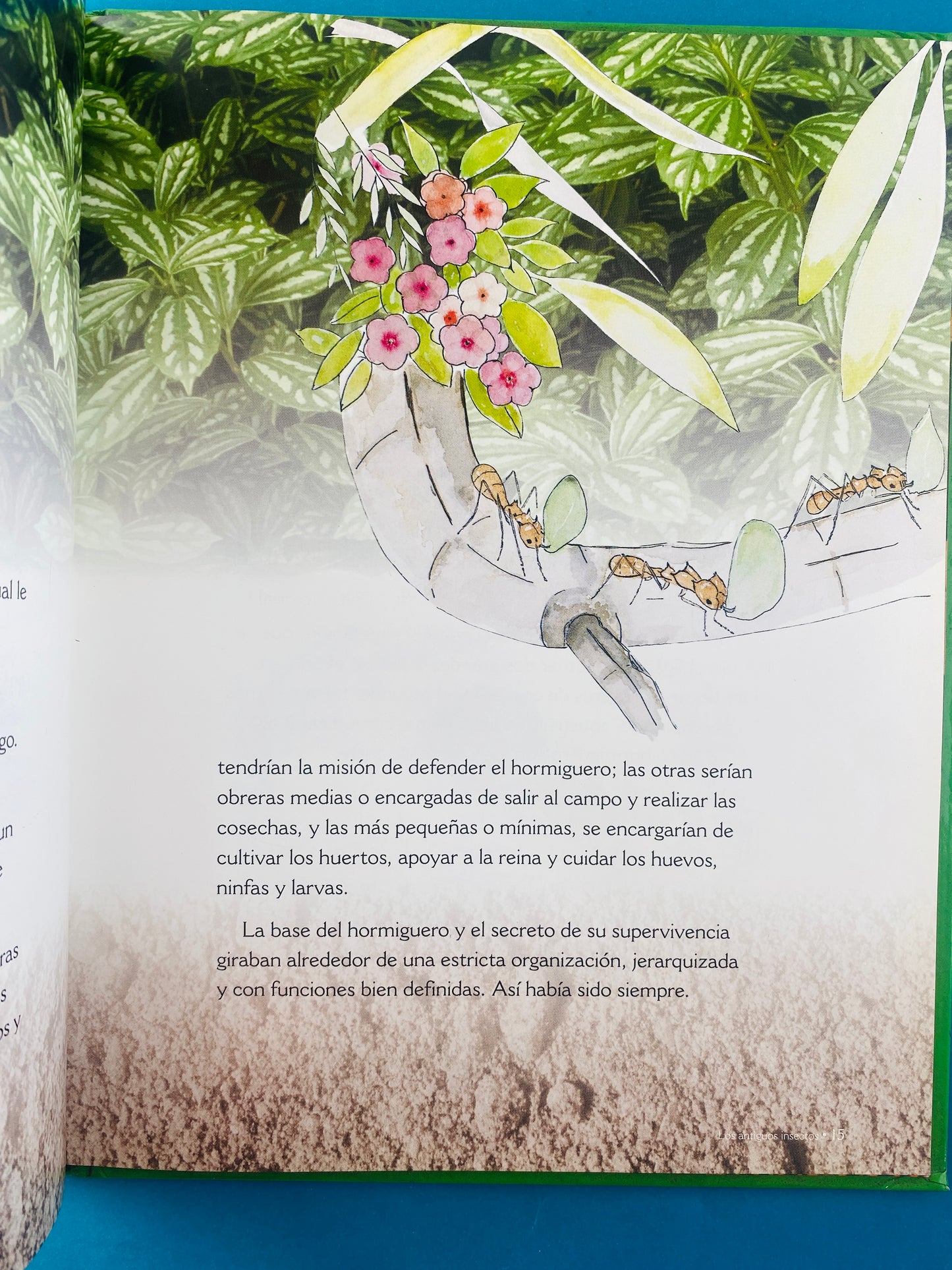Los antiguos insectos los sobrevivientes a los dinosaurios