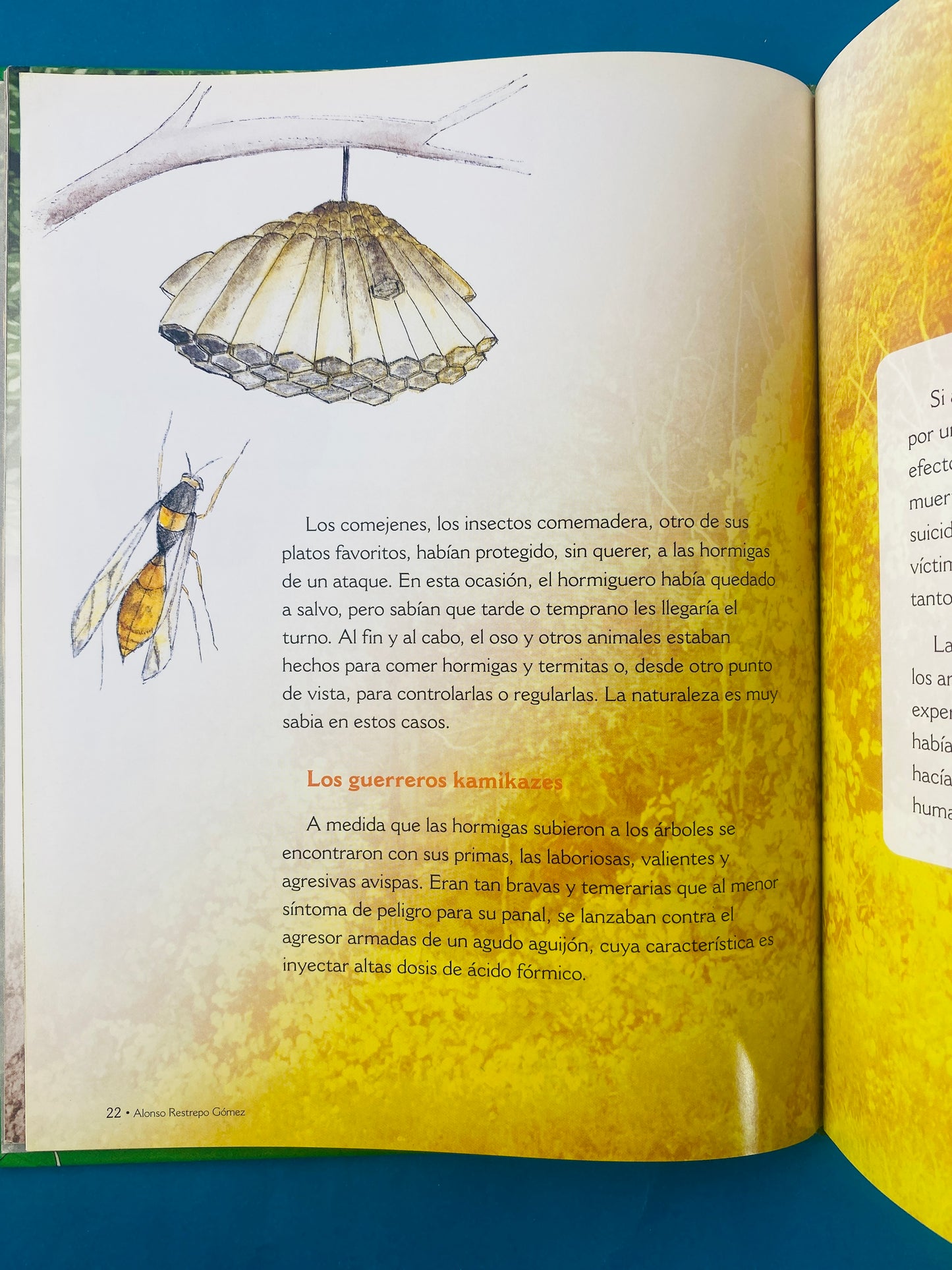 Los antiguos insectos los sobrevivientes a los dinosaurios