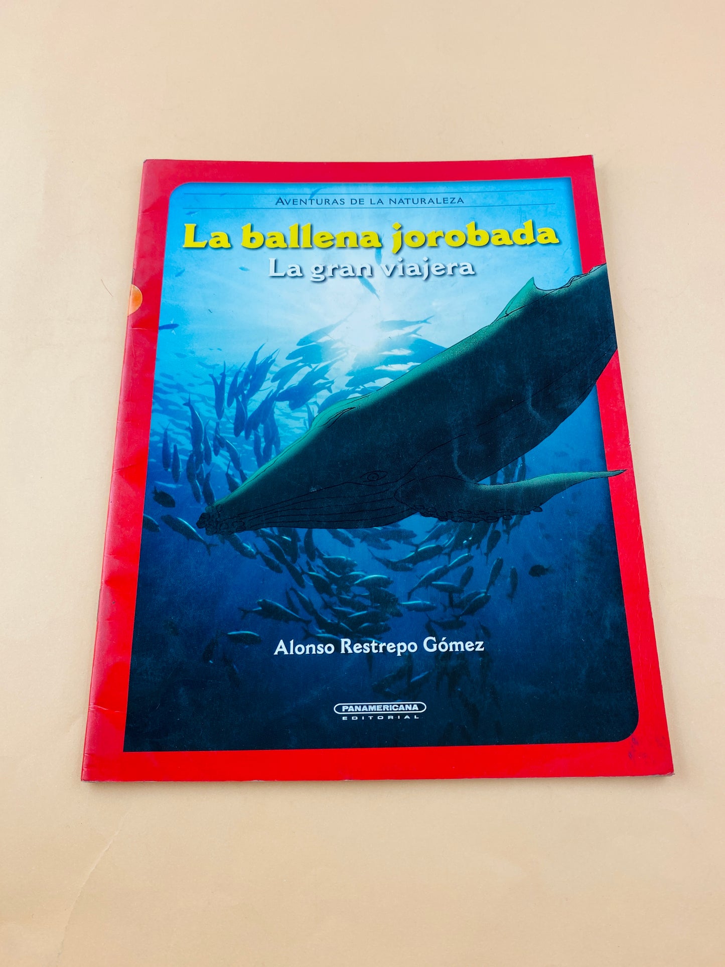La ballena jorobada la gran viajera