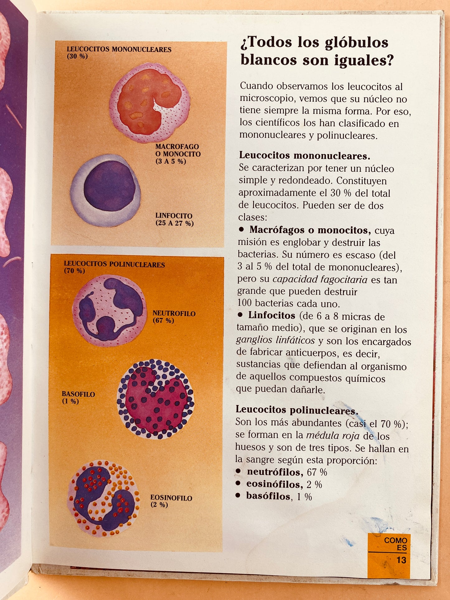 Érase una vez el cuerpo humano tomo 6