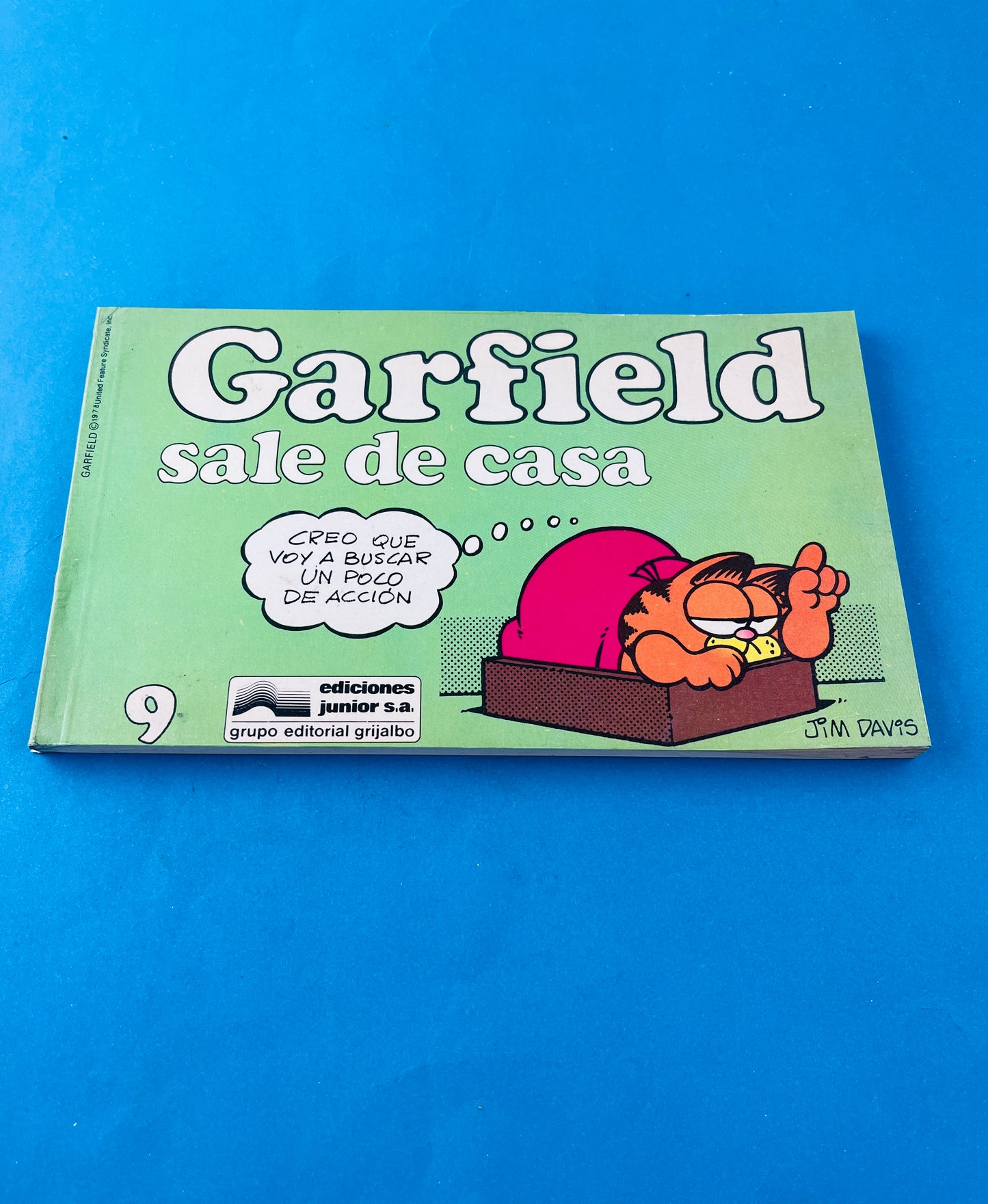 Garfield sale de casa 9