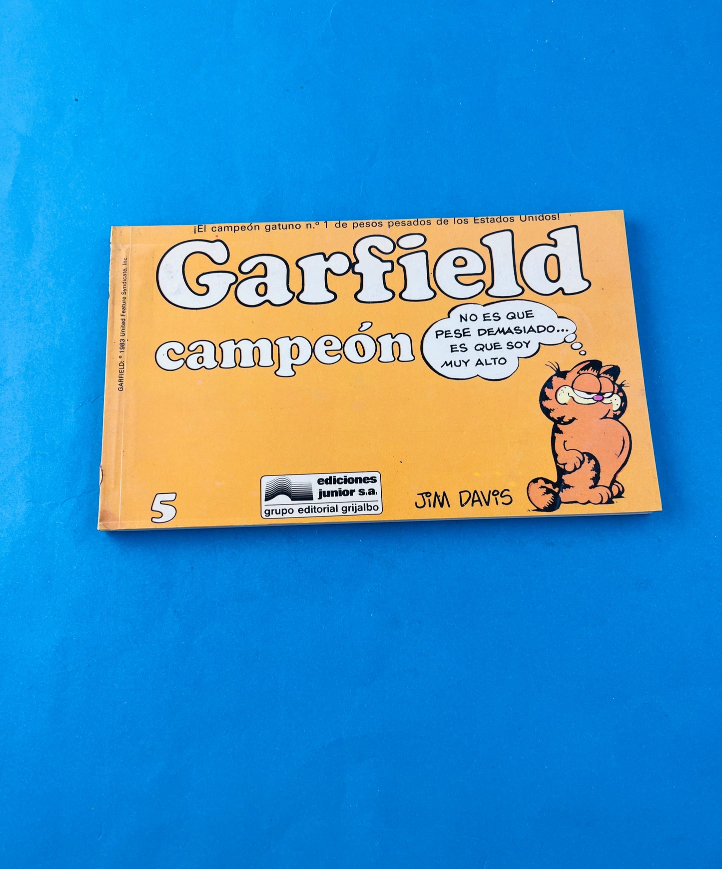 Garfield campeón 5
