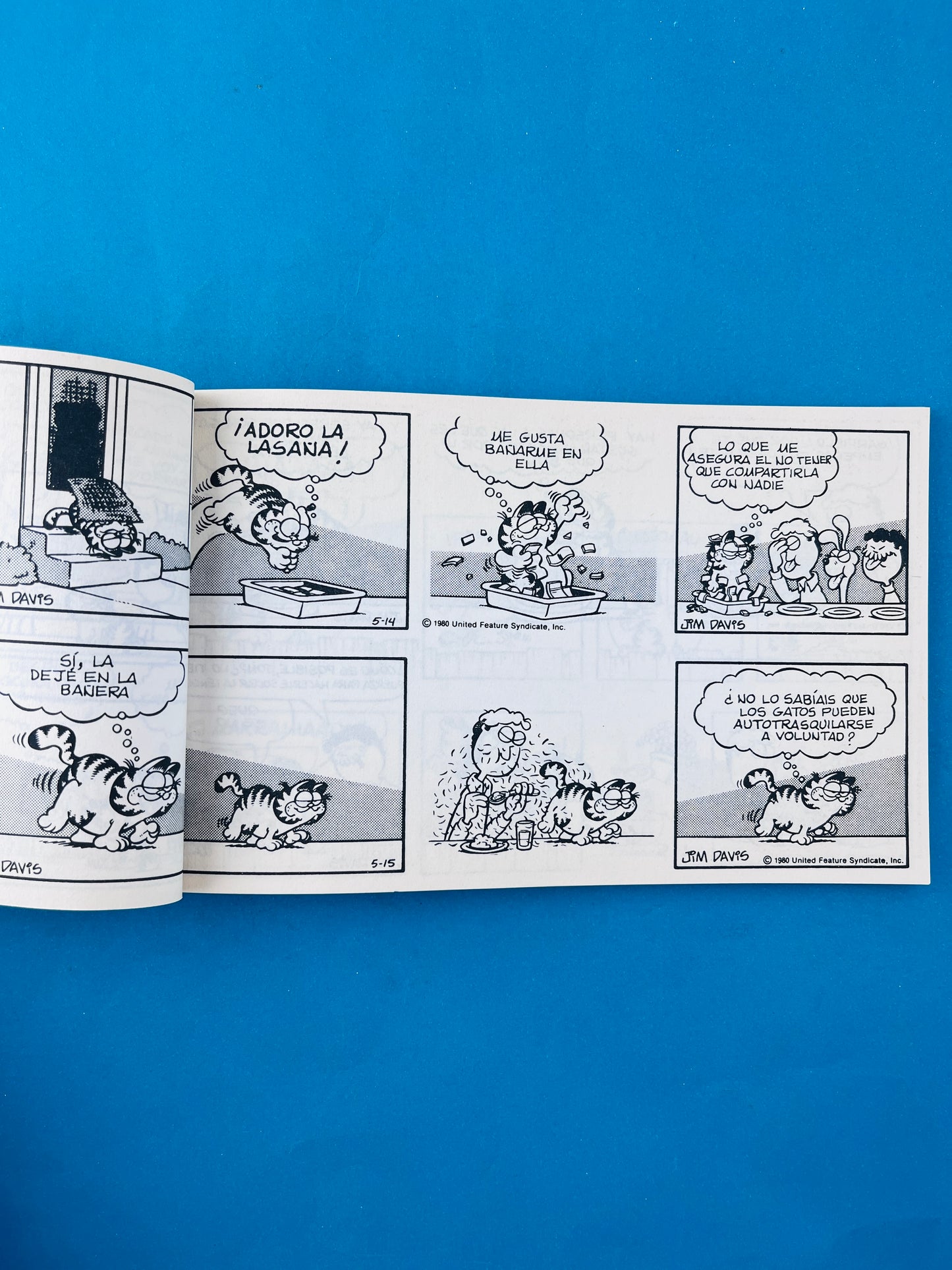 Garfield campeón 5