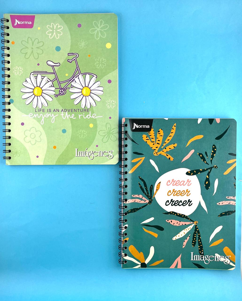 Cuaderno argollado grande 105 cuadriculado económico Mujer