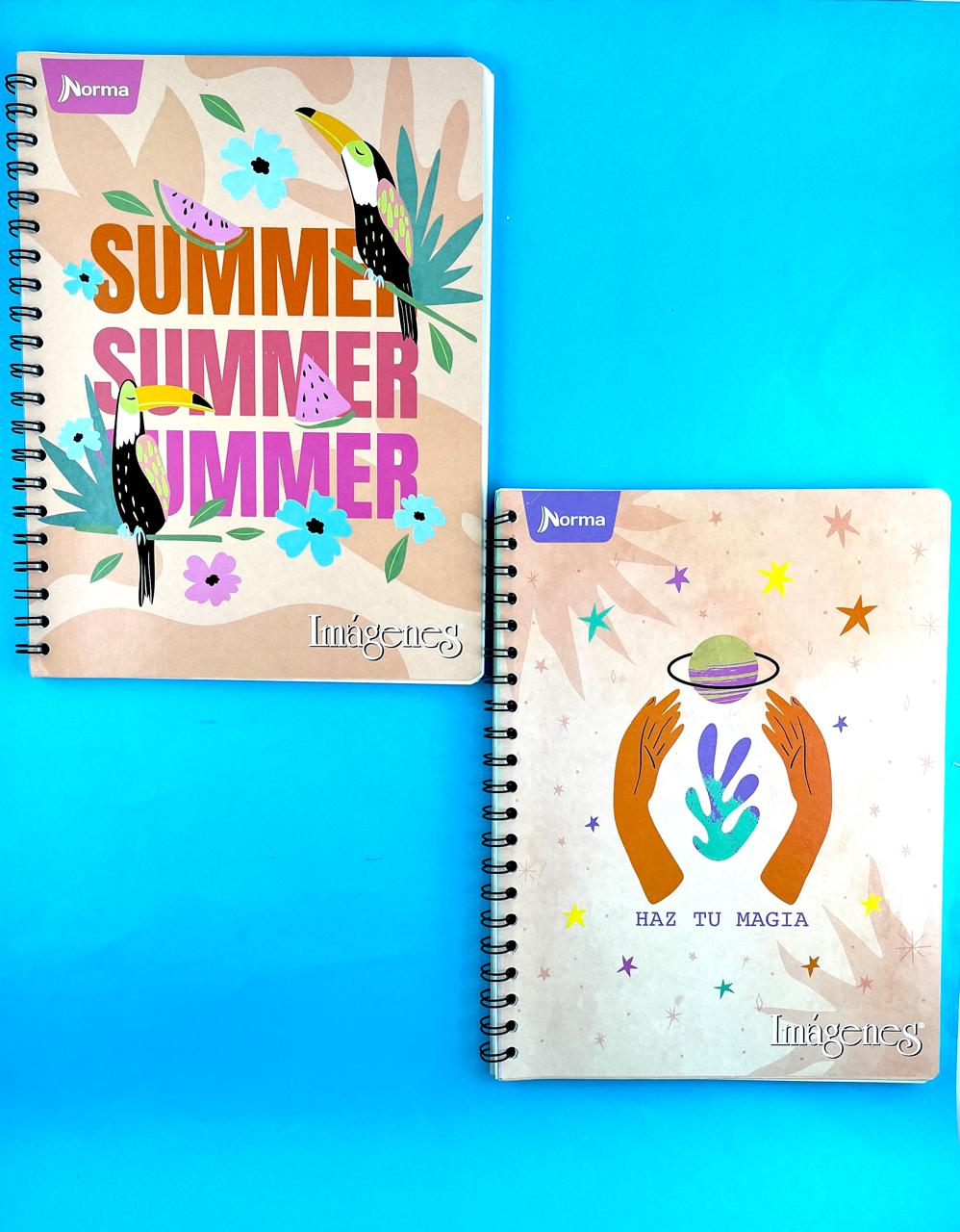 Cuaderno argollado grande 105 cuadriculado económico Mujer
