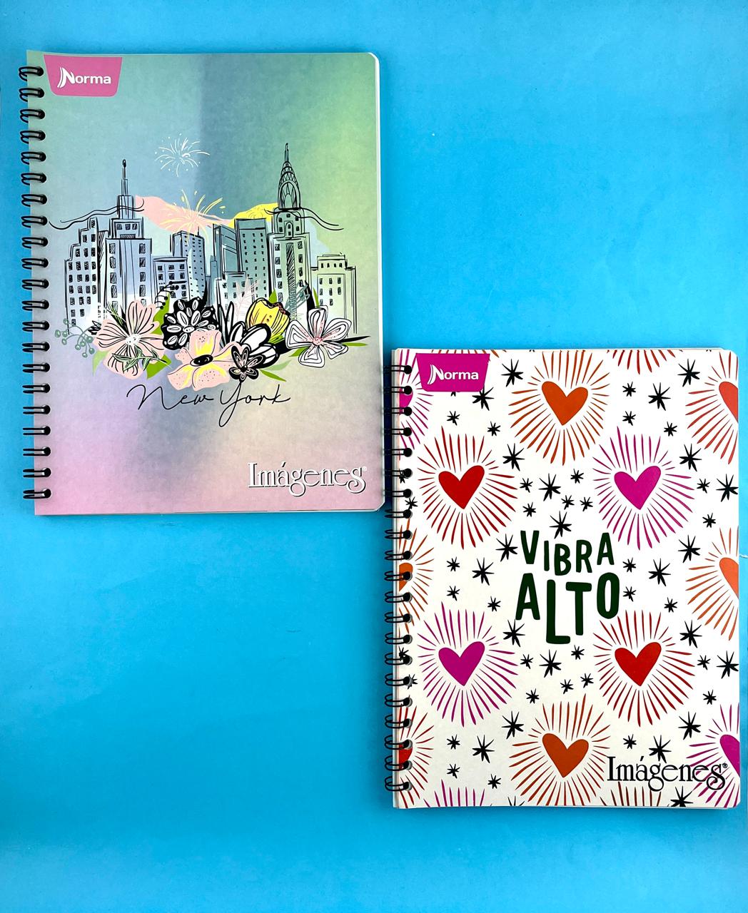 Cuaderno argollado grande 105 cuadriculado económico Mujer