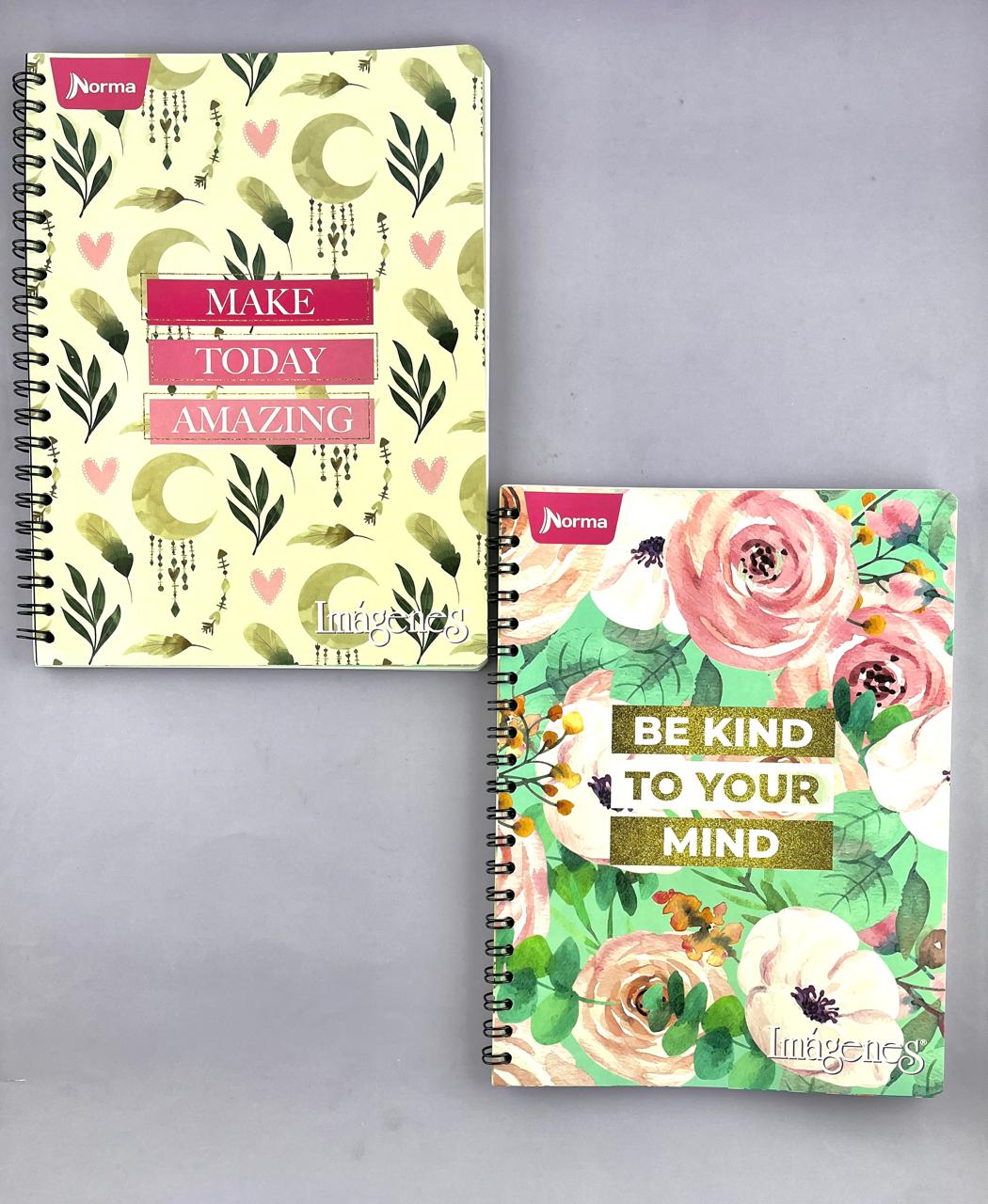 Cuaderno argollado grande 105 Línea corriente económico Mujer